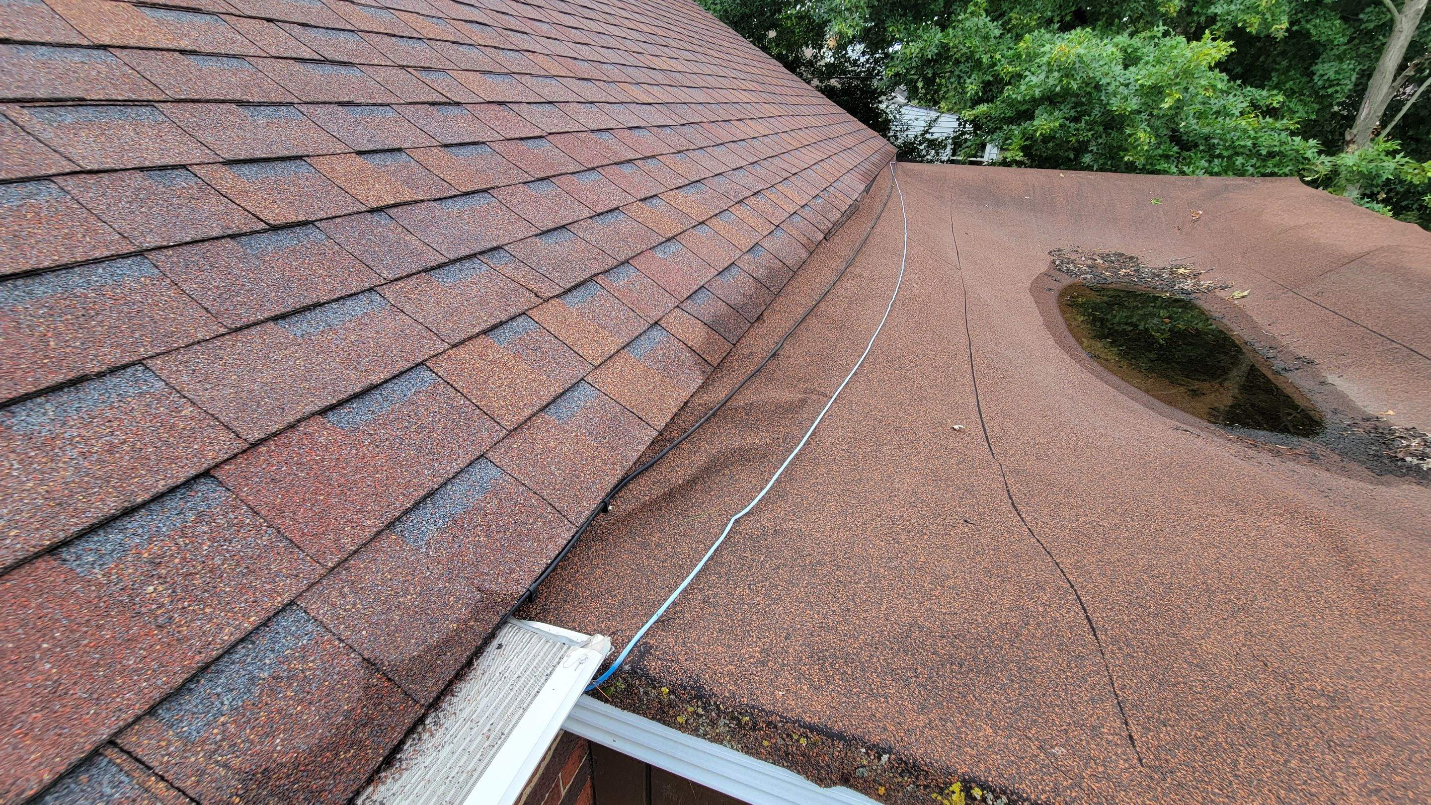 Tree Destroyed Patio Room by Absolute Roofing and Construction