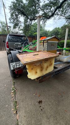 Beekeeping Family Time
