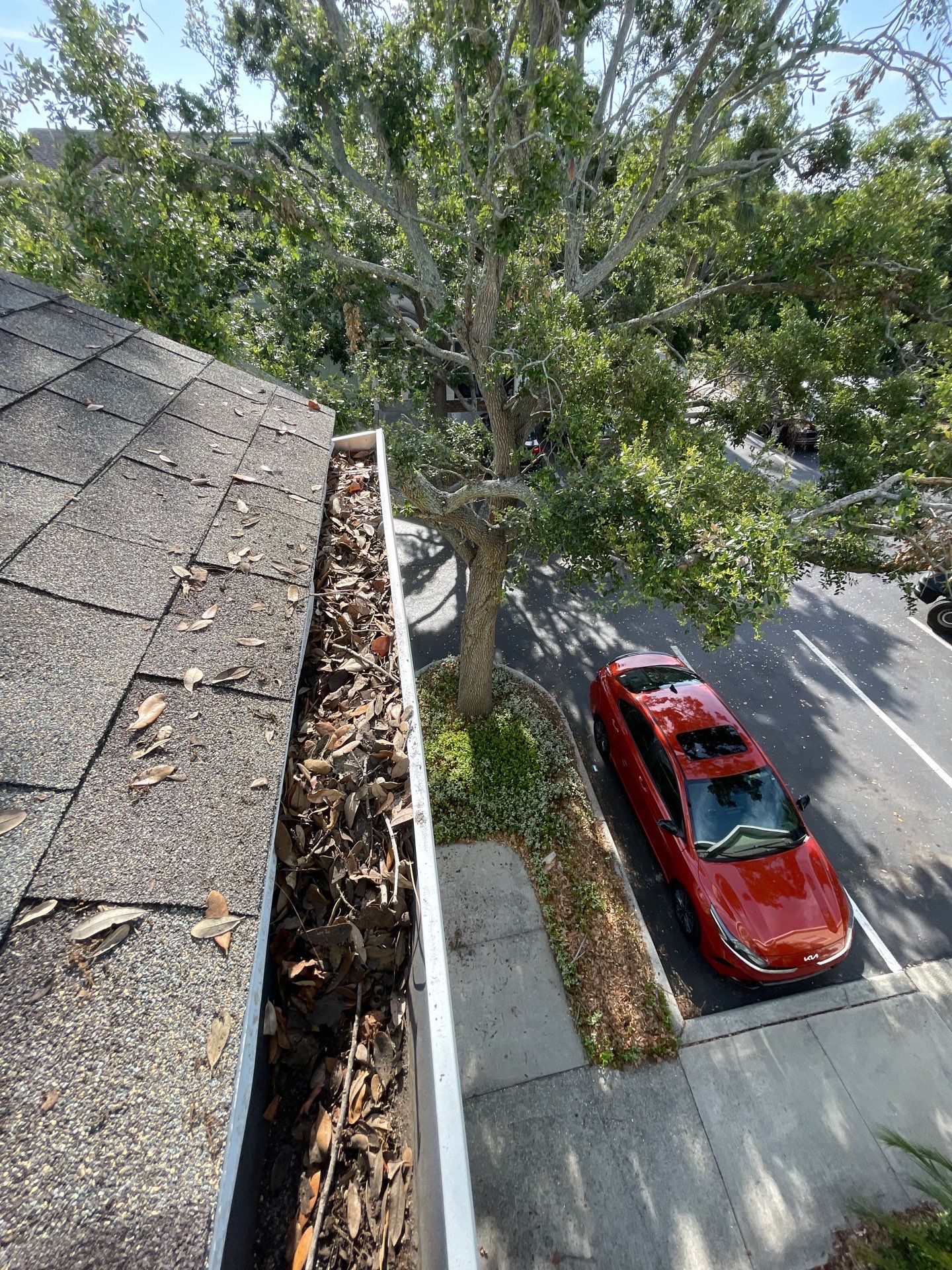 Commercial gutter cleaning Georgia before photo with filled gutters