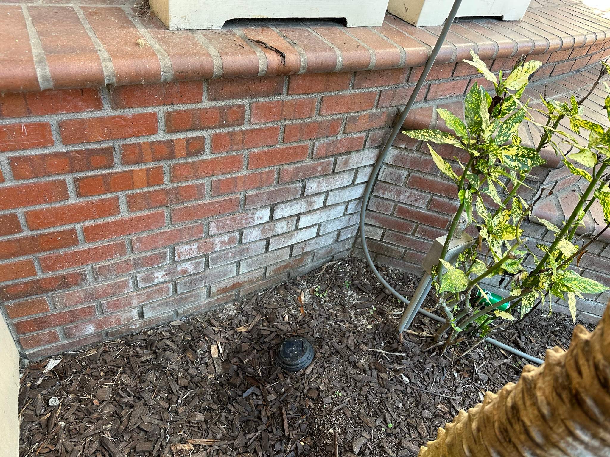 Orange County Clay Tile Roof Soft Wash on Unwalkwable Roof by Property Cleaning Experts