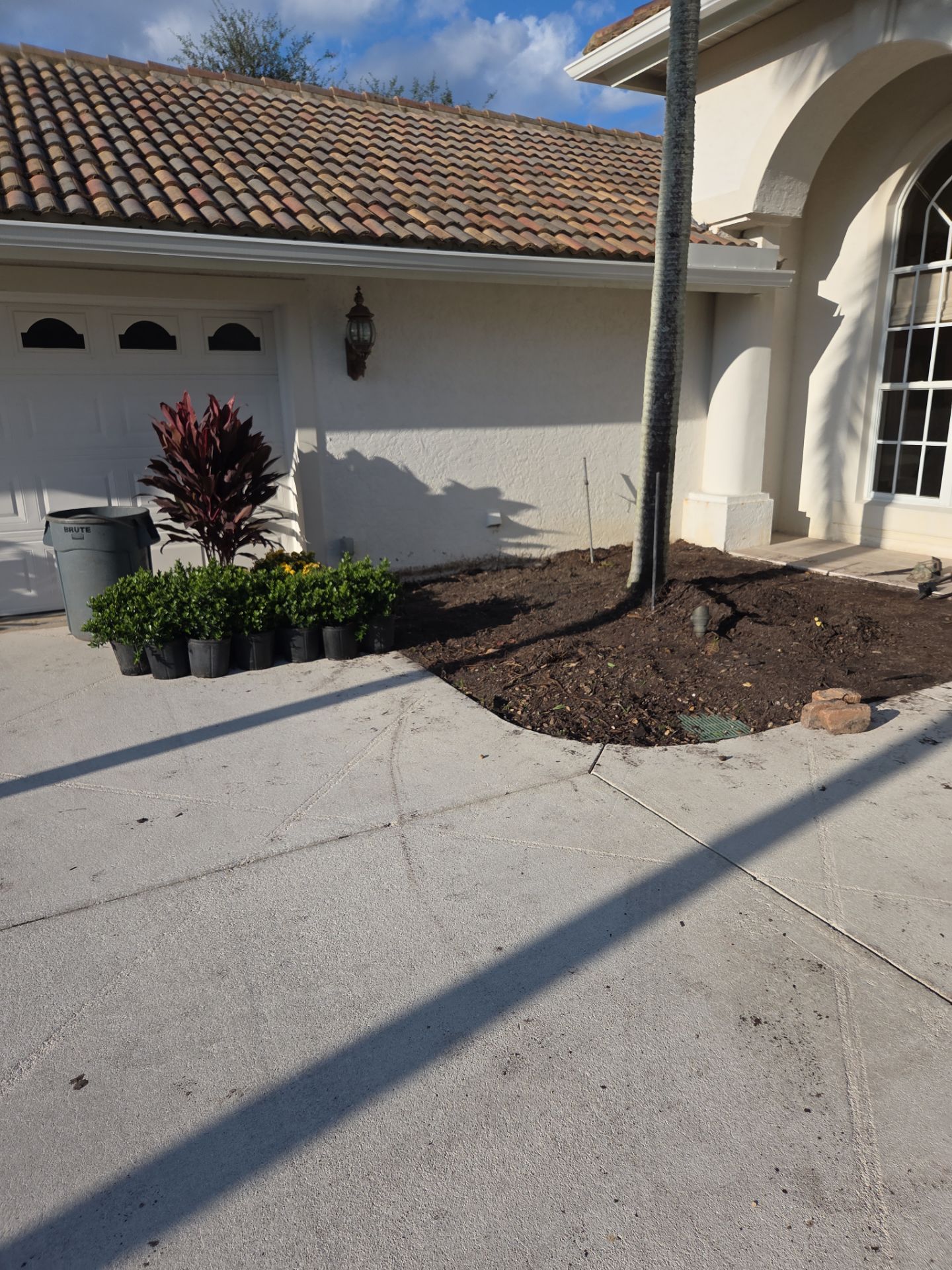 🌴 Landscape Removal and Install in Palm City by Alpha Zeta Enterprises Inc