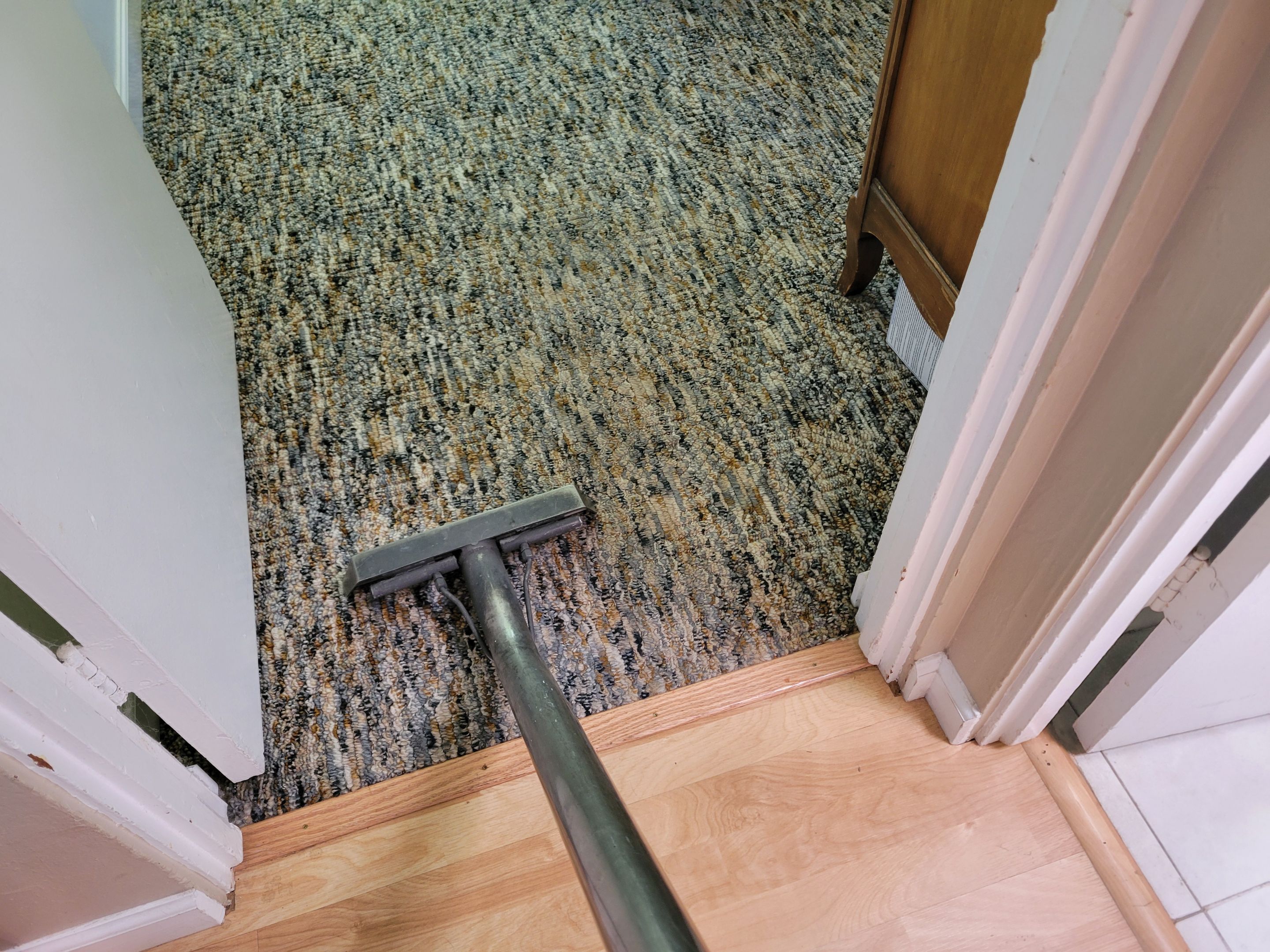 Multi-color and Patterned Looped Carpet Clean by Ardent Carpet Restore LLC