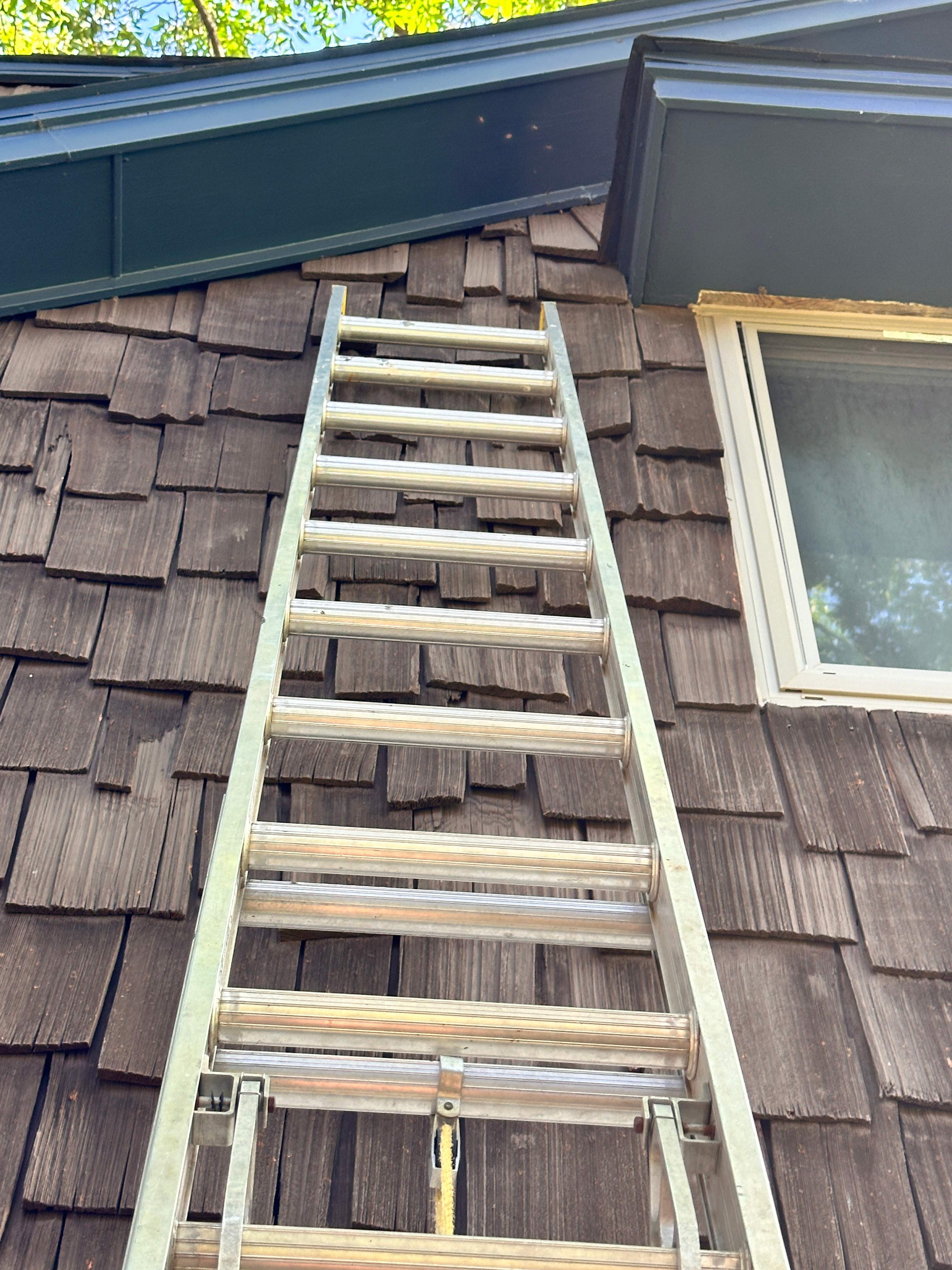 Sneaky! by Rockwall Honey Bee Company