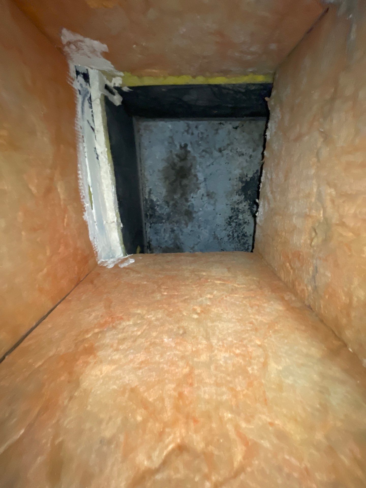 Air Duct Cleaning & Component Service in Groveland by Hygienic Air, Inc