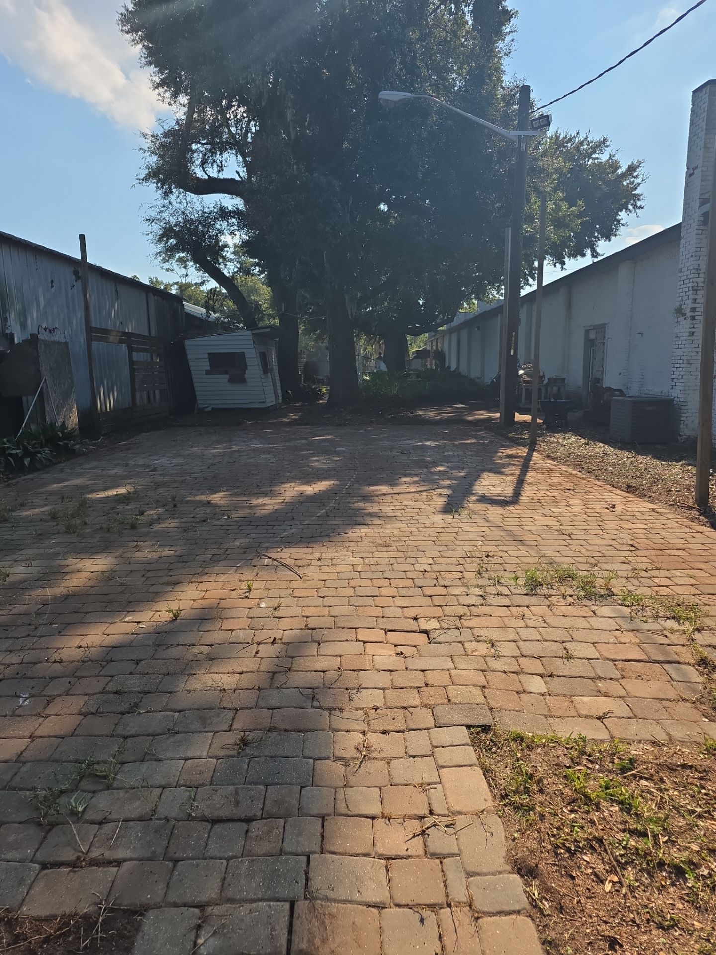 Commercial Property | Clean Up & Tree Removal by ProGreen Services