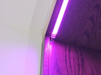 Project in Pepperpike