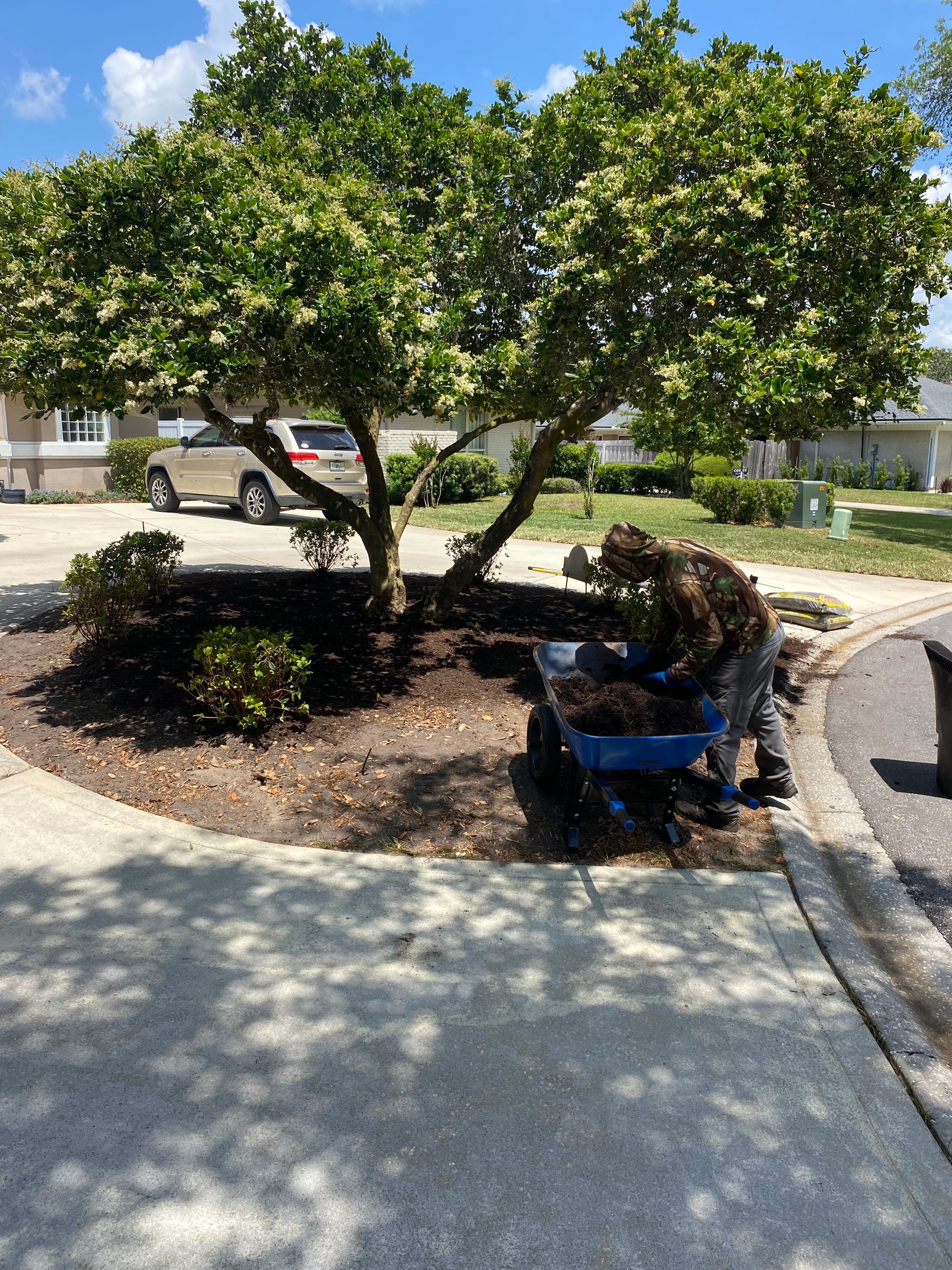 Deerwood Resident | Clean-Up and Sod by ProGreen Services
