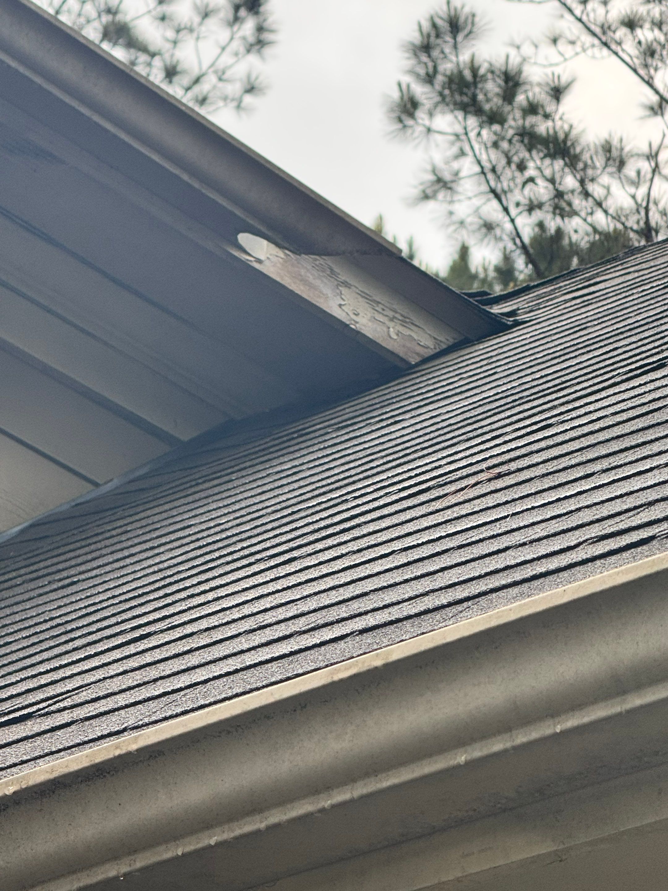 Full Exterior Home Painting and Trim Refresh in Rutledge by PGP Surface Solutions, LLC