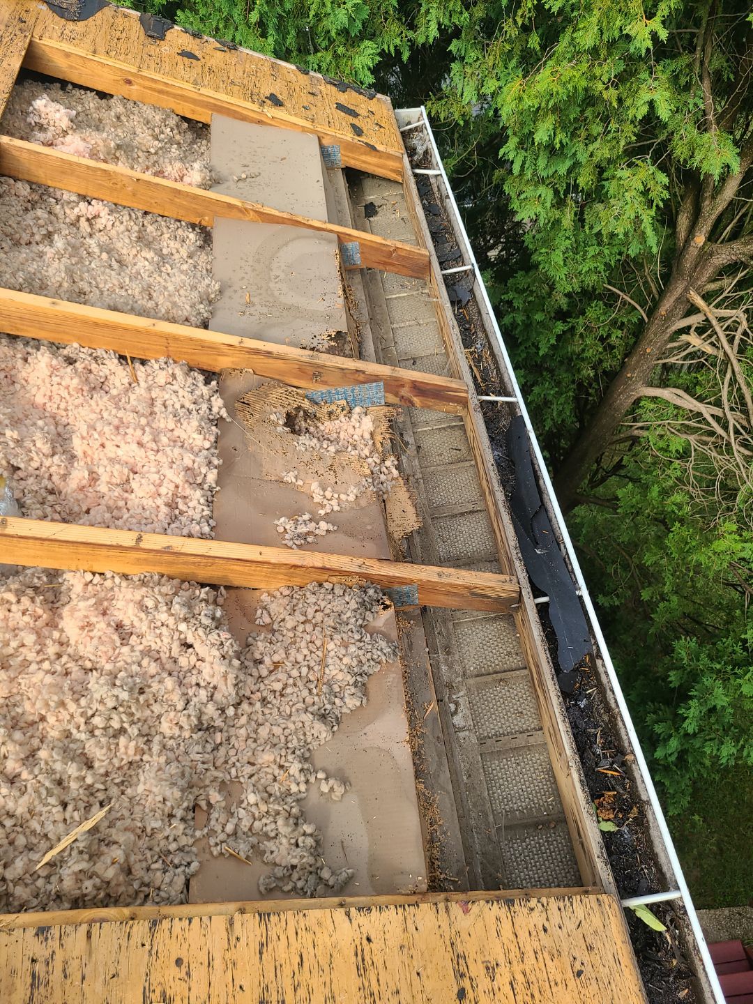 Falls Church: CertainTeed Landmark Pro Designer Shingles in Max Def Pewterwood by RM Banning, Inc.