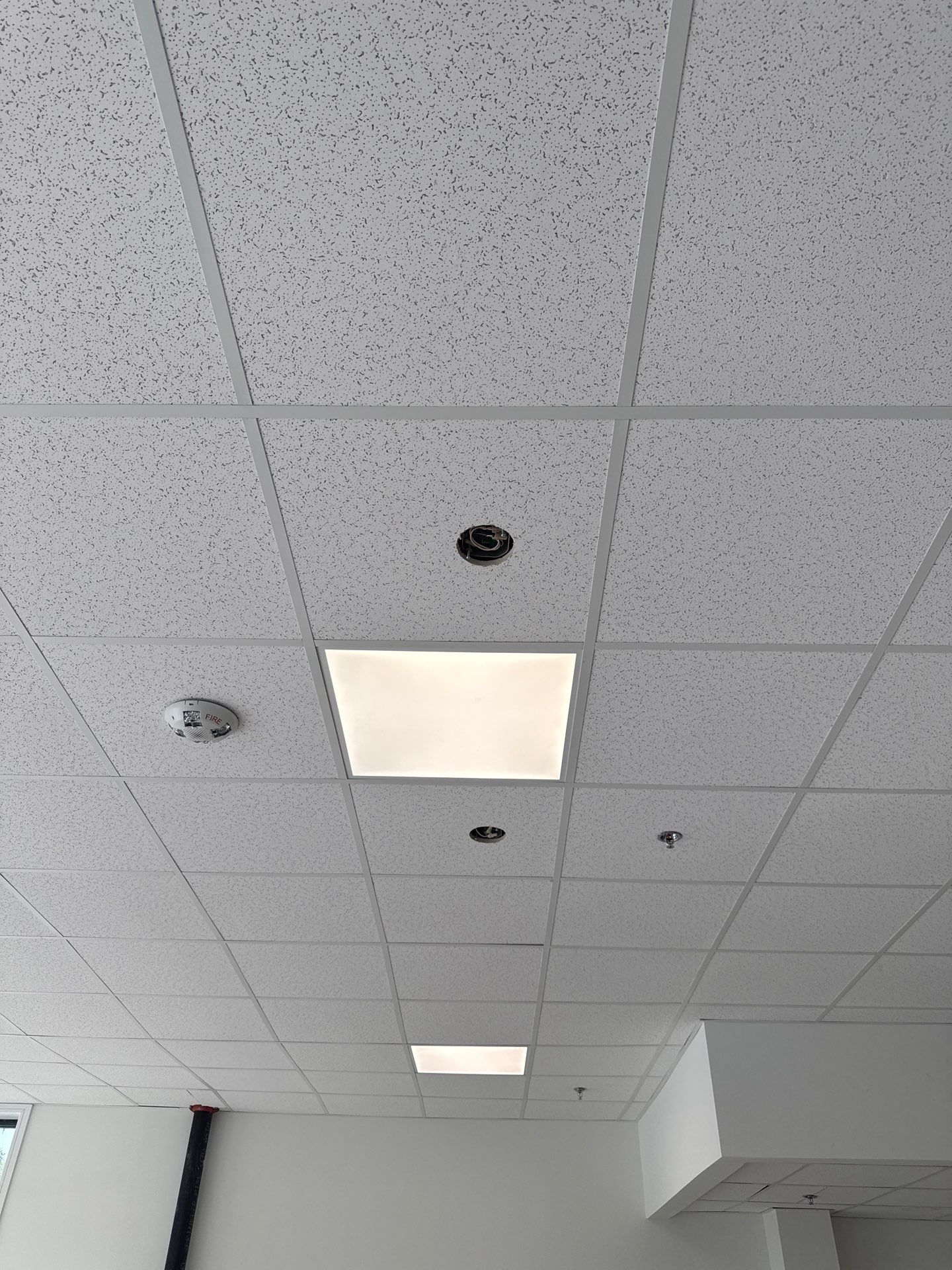 Commercial Drop-Ceiling Lighting  by Spartan Home Pros