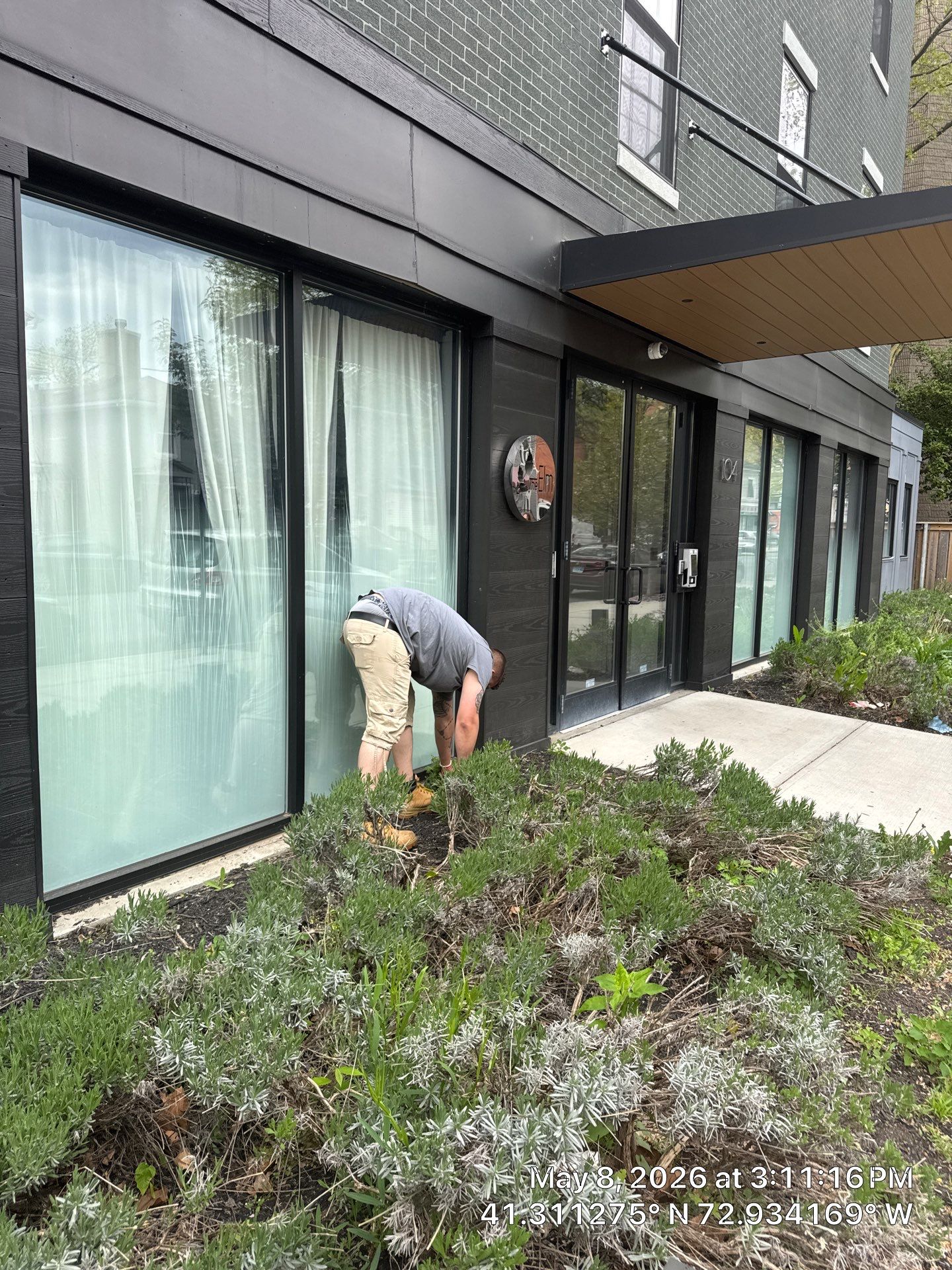 Modern Commercial Landscaping and Grounds Maintenance in New Haven by Diamond Image LLC