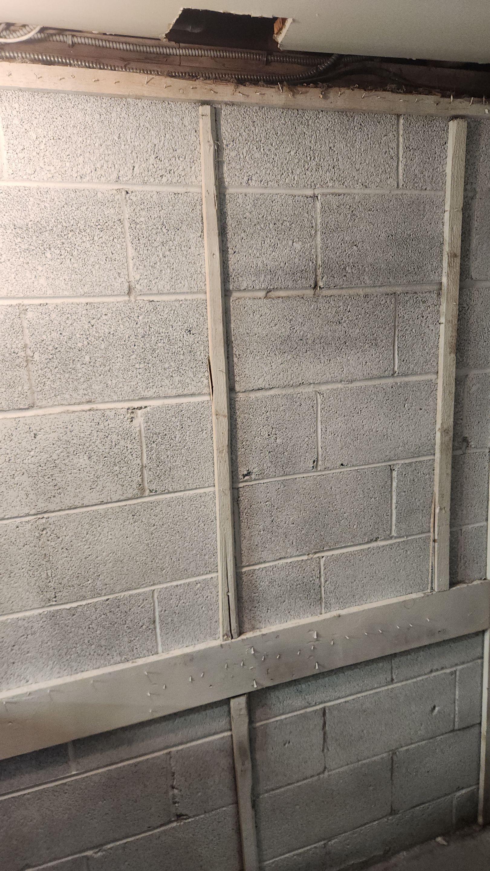 Interior French Drain & Mold Remediation Project in Manville, New Jersey by Pure Service Pro, LLC 