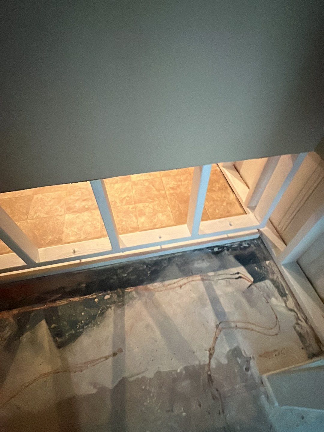 Mold Damage by Accountable Home Services
