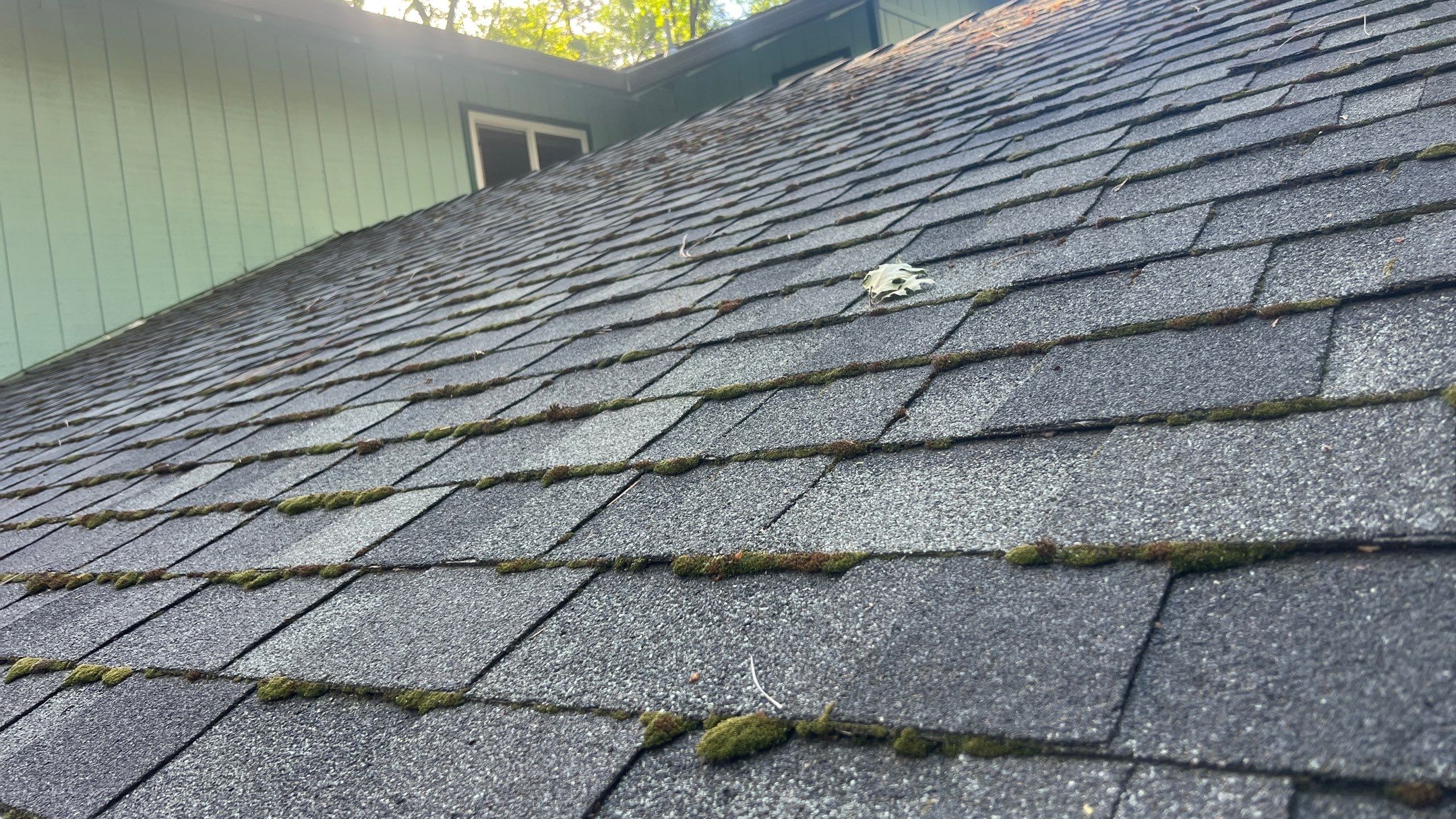 Roof Rejuvenation using Roof Maxx Treatment by Roof Maxx of Folsom