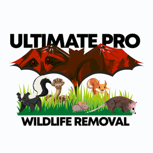 Logo for Ultimate Pro Wildlife Removal LLC Columbus Ohio