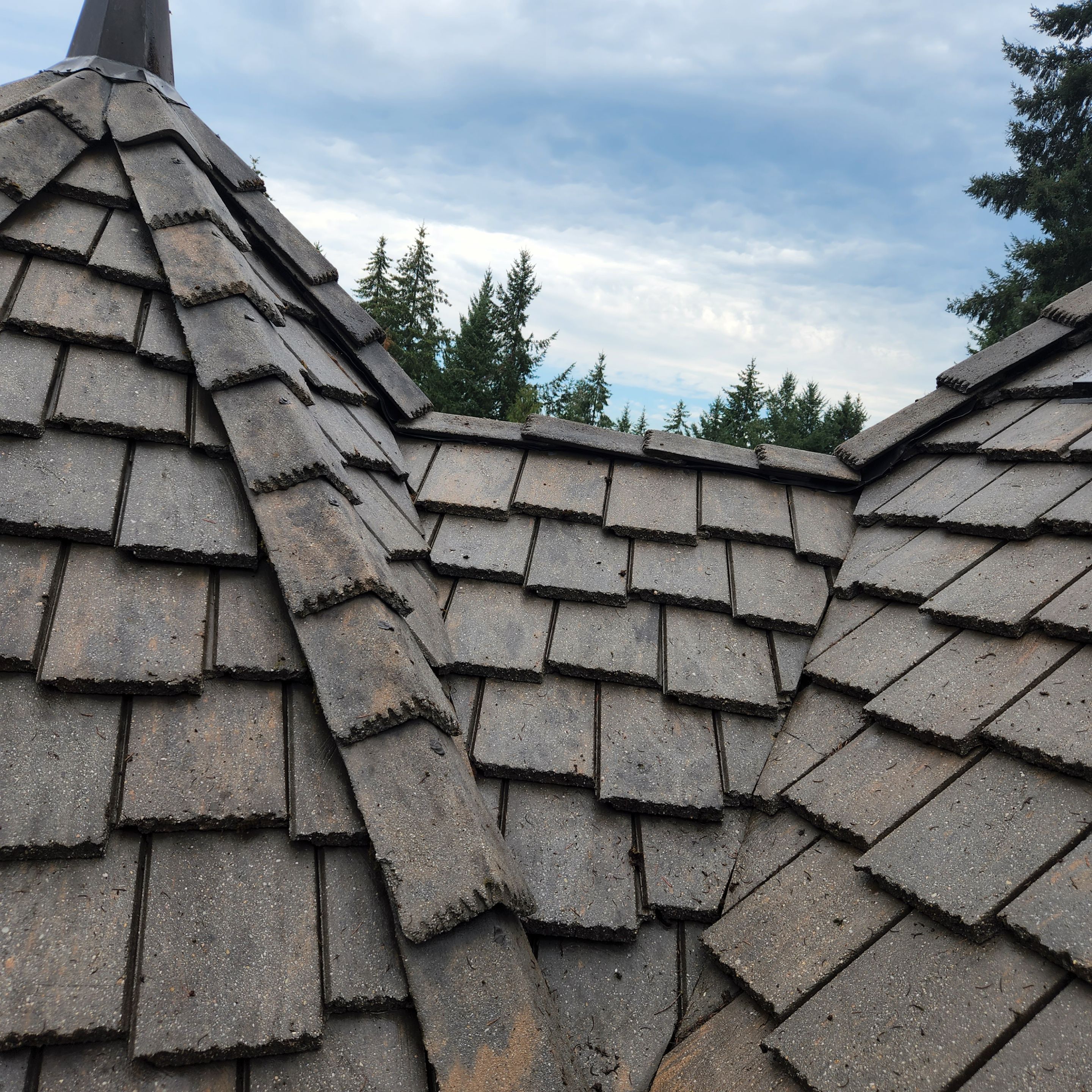 Moss Removal/ Treatment using Biocide by Willamette Outdoor Wash LLC