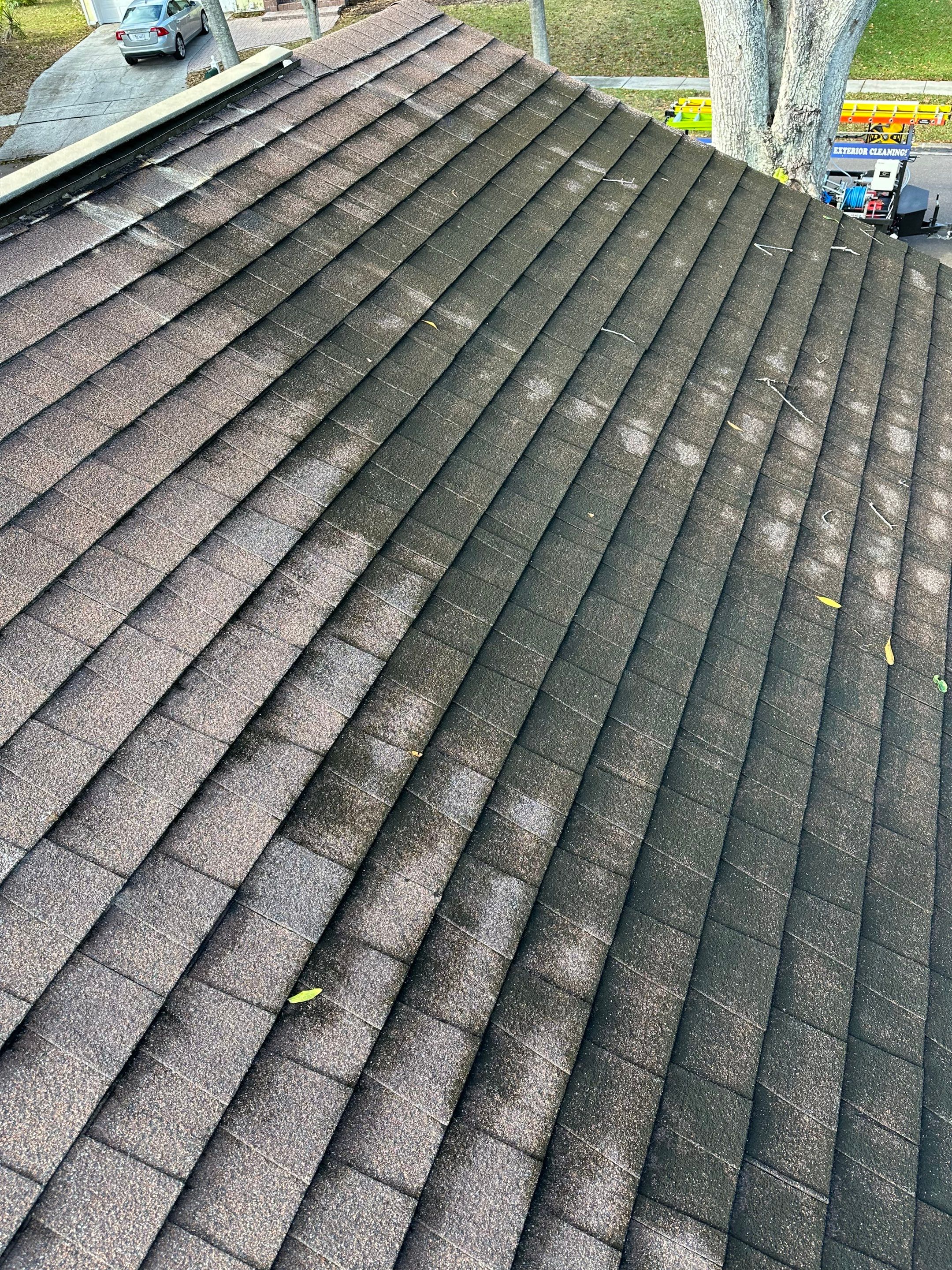 Roof Cleaning Service & Travertine Paver Cleaning by Sunshine AquaWash