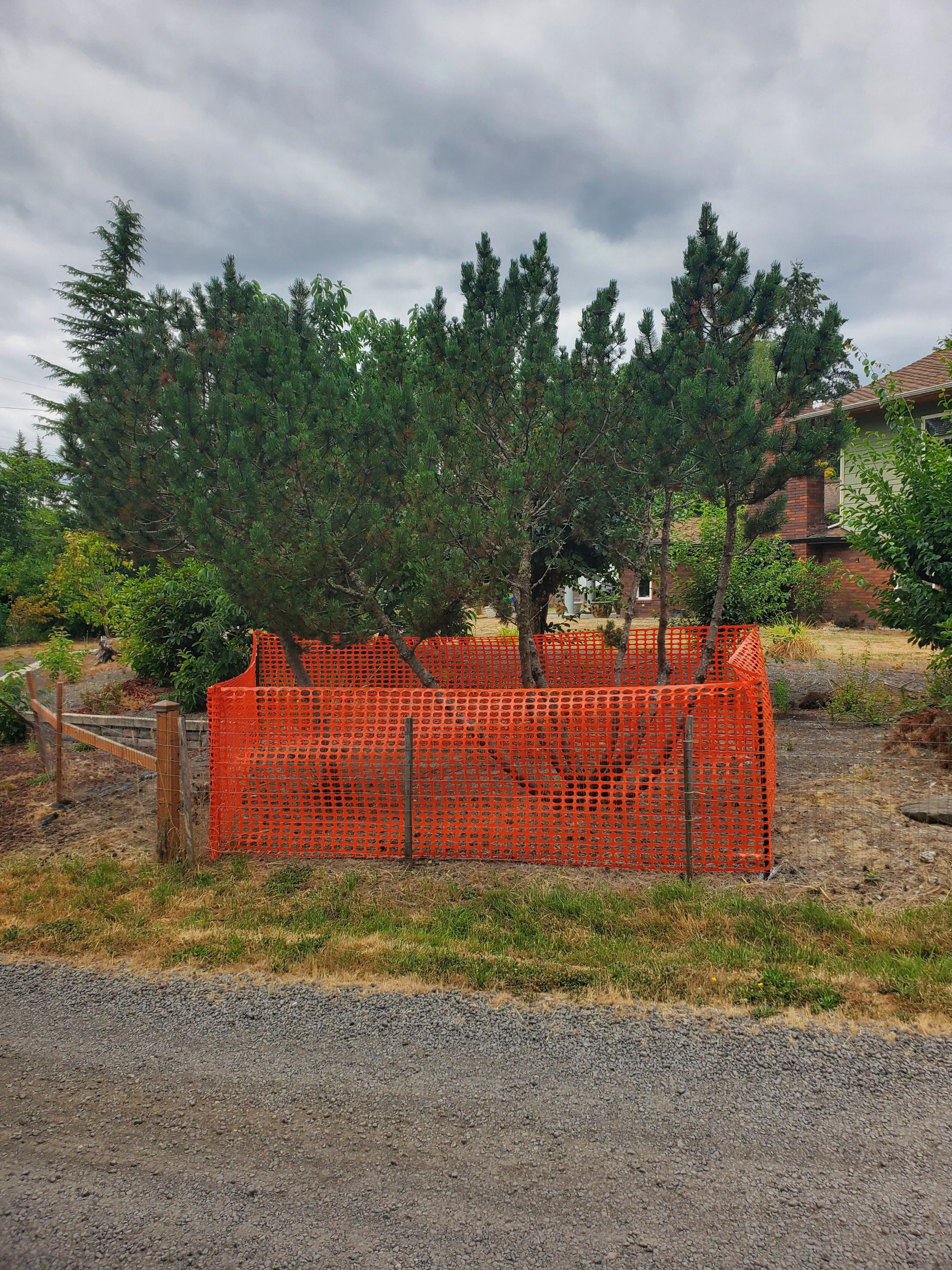 Demolition Alteration Driveway & Carport by Construction Now LLC