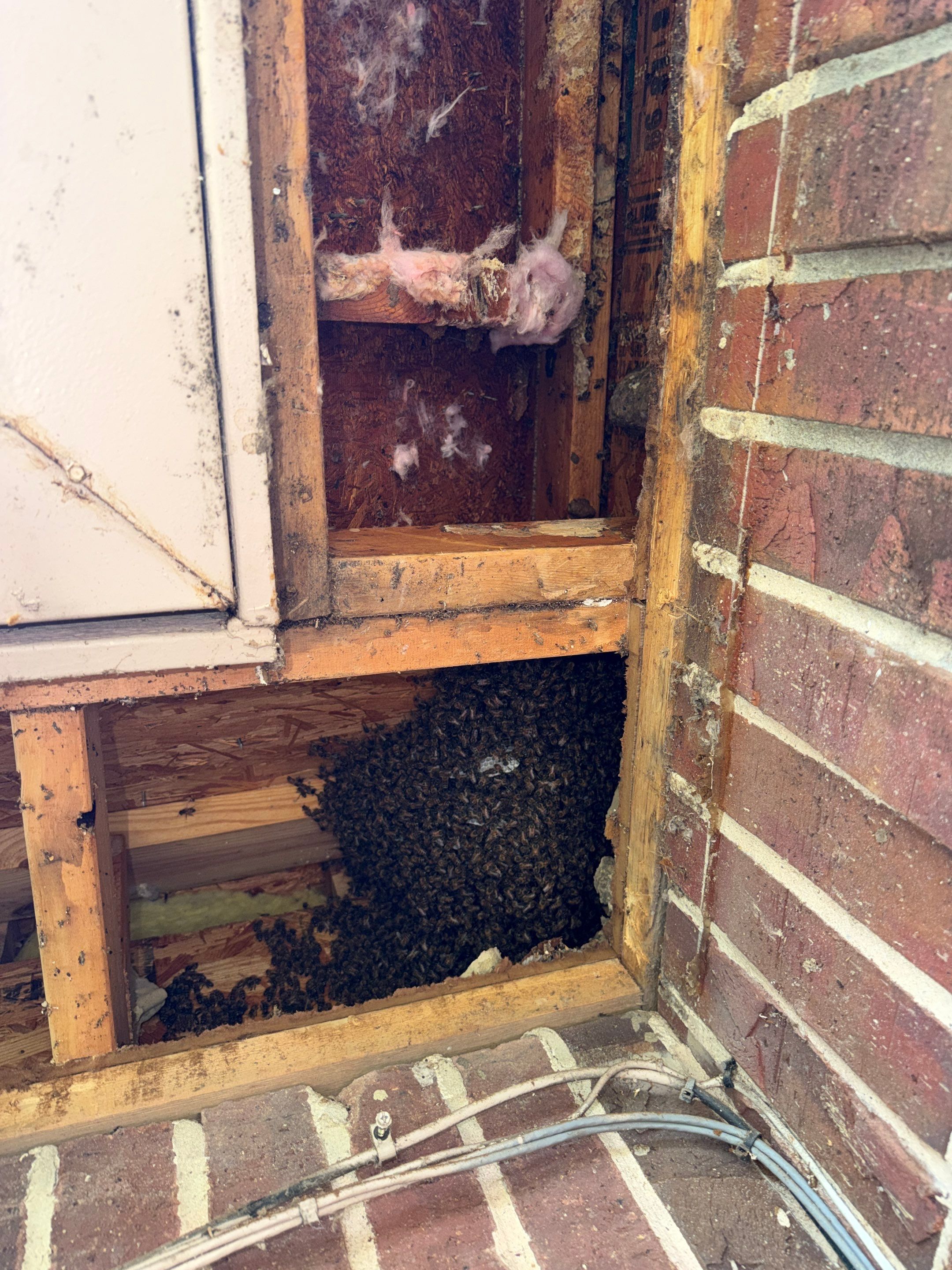 Project in Heath, TX by Rockwall Honey Bee Company