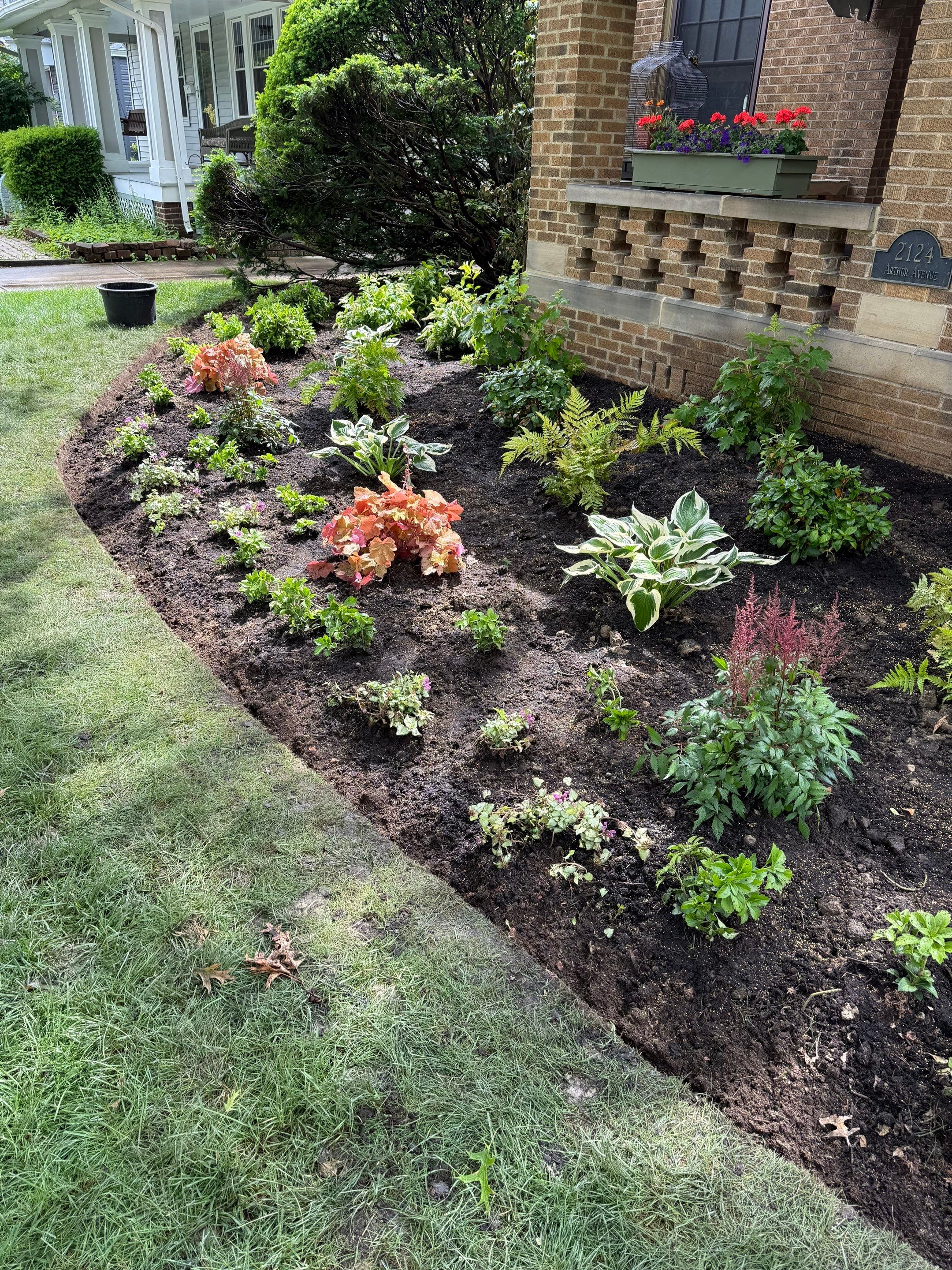 Historic Arthur Project by Elm Rose Gardens