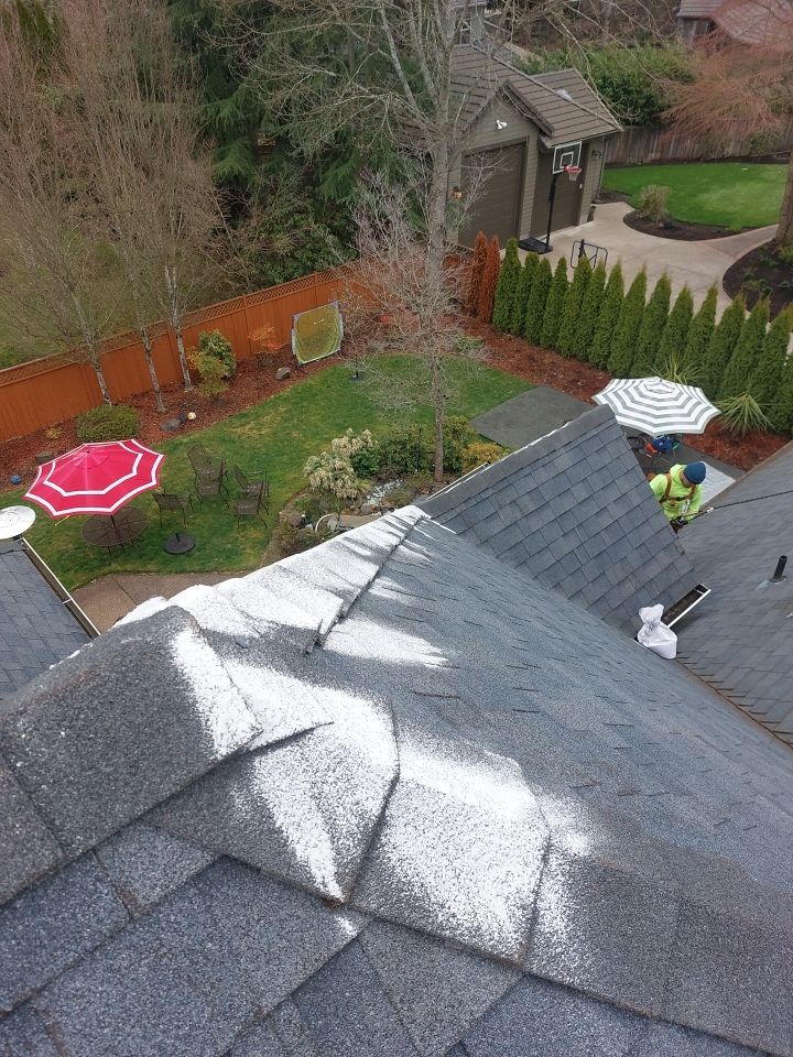 Roof Cleaning  using Moss Treatment  by BEST Roofing & Waterproofing