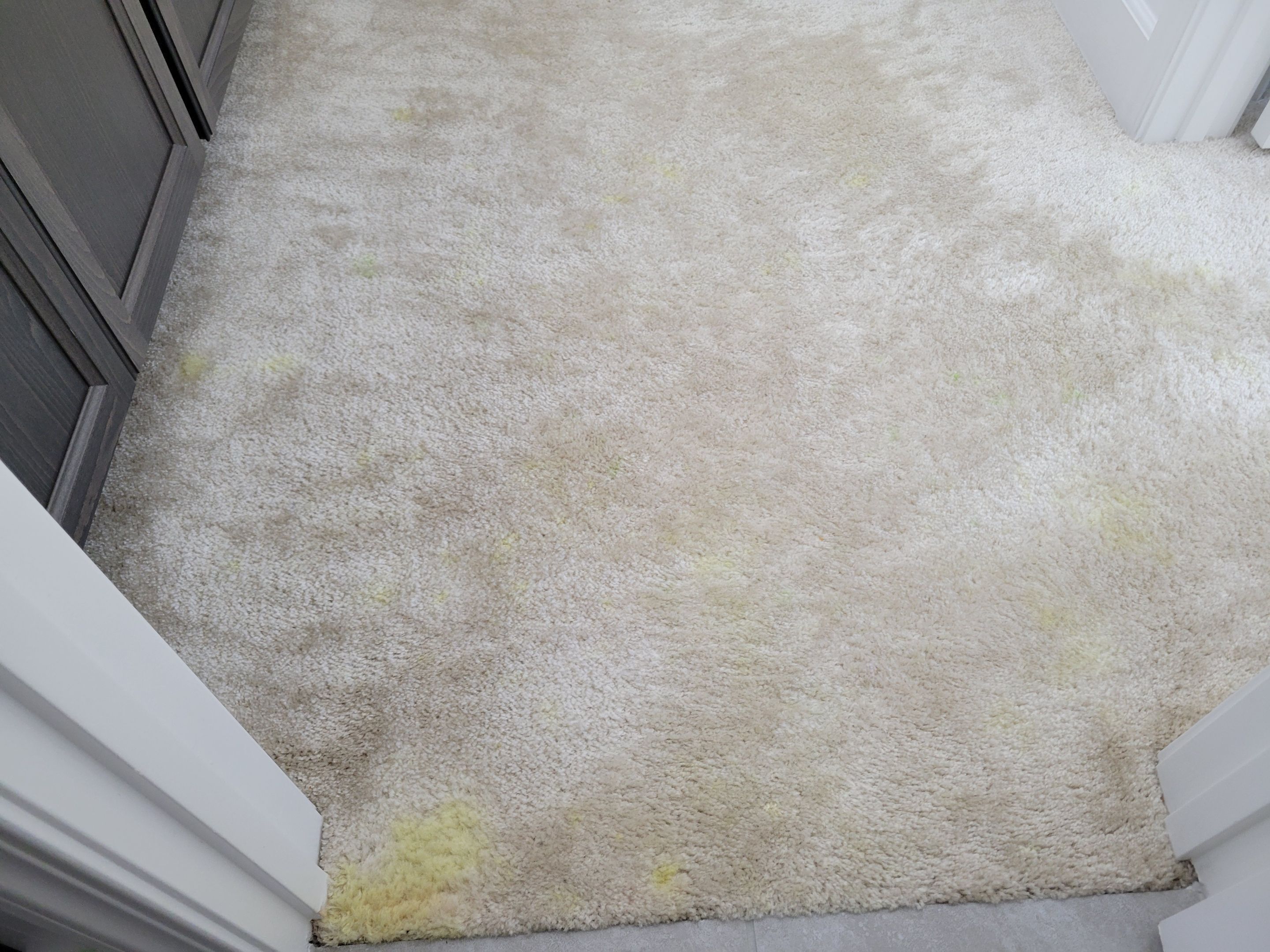 Carpet Repair of Paint, Stain & Bleach by Ardent Carpet Restore LLC