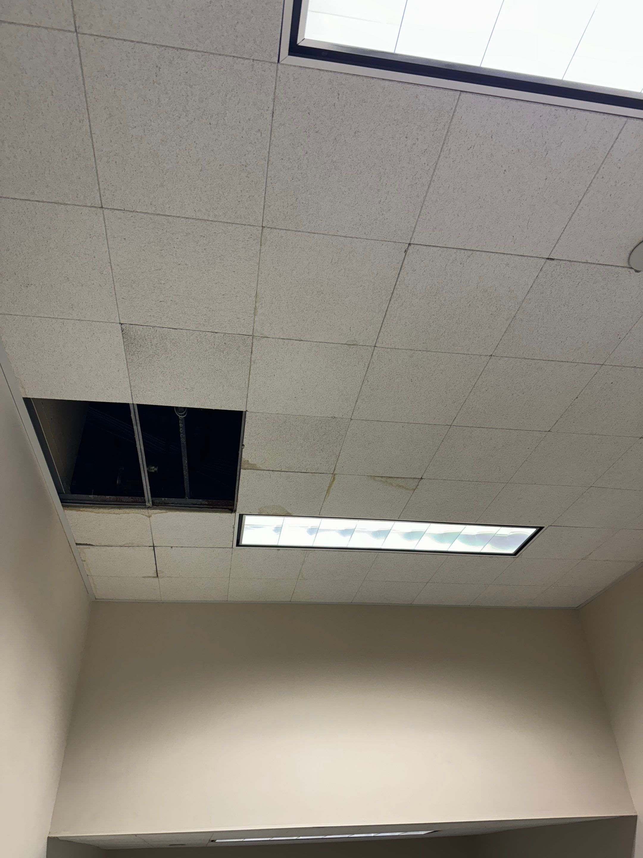 Mold Remediation Fairfield NJ by Pure Service Pro, LLC 
