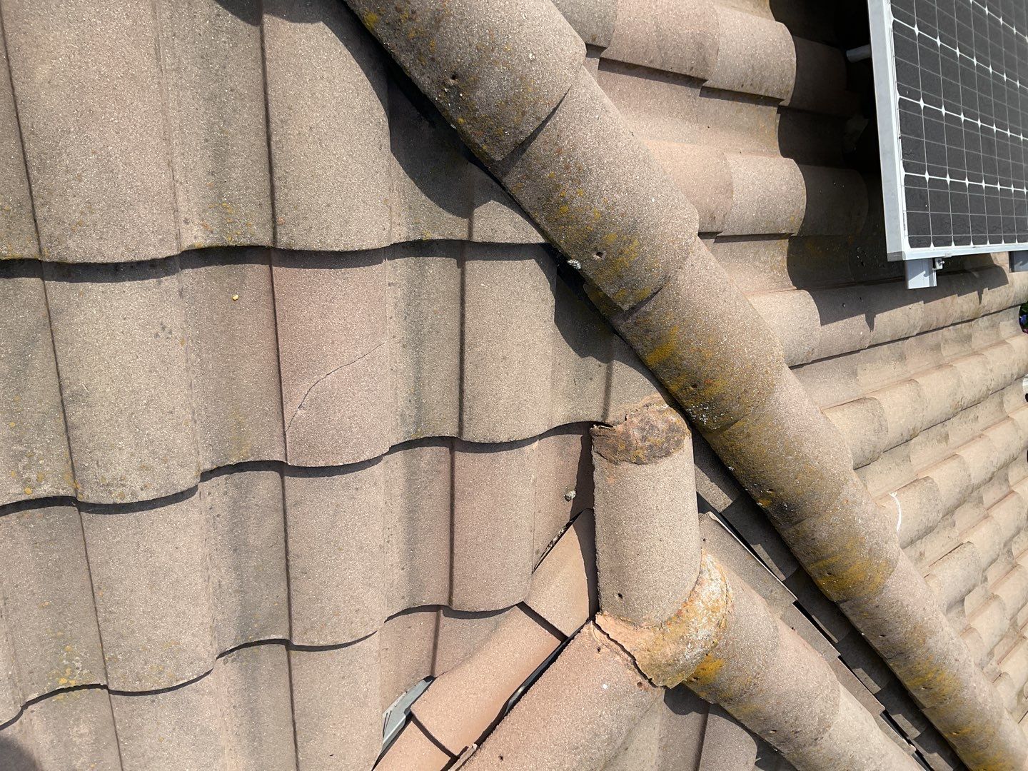 Tile Roof Repair and Maintenance Services in El Cajon by Reliable Roofing San Diego Inc.