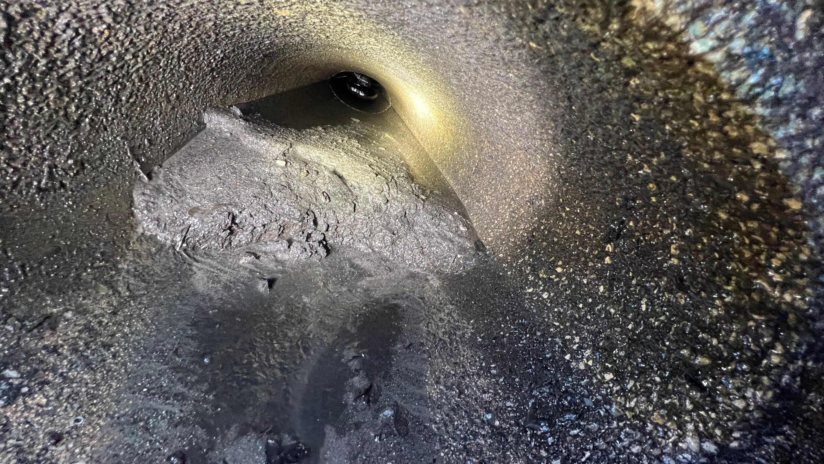 Stromwater System Maintenance at Bill Smith Appliances / Critter Cafe Marco Island Catch Basin by Don Mar, Inc. Storm Water Solutions