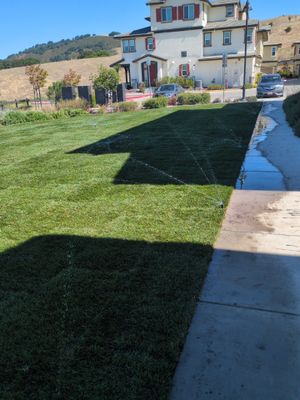 Project in San Ramon