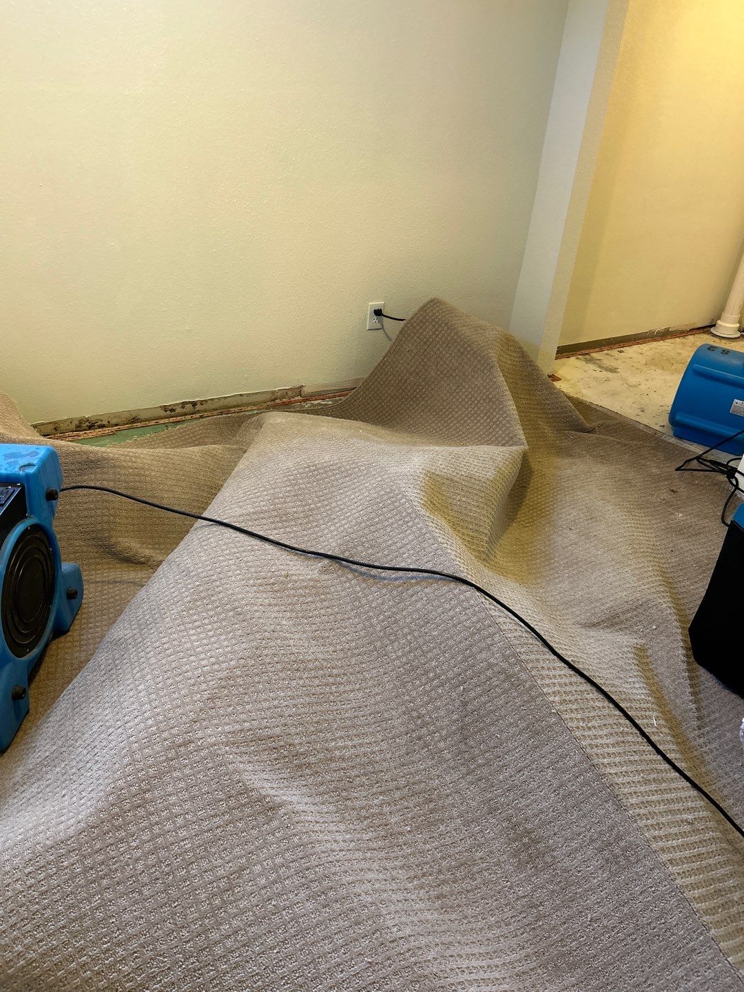 Mold Remediation by Accountable Home Services