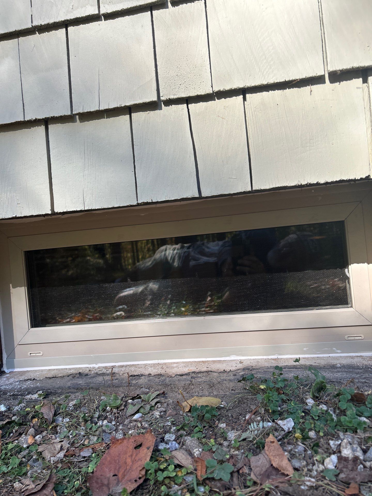Basement Replacement Windows using Harvey Vinyl Replacement Windows by Cheshire Glass Company