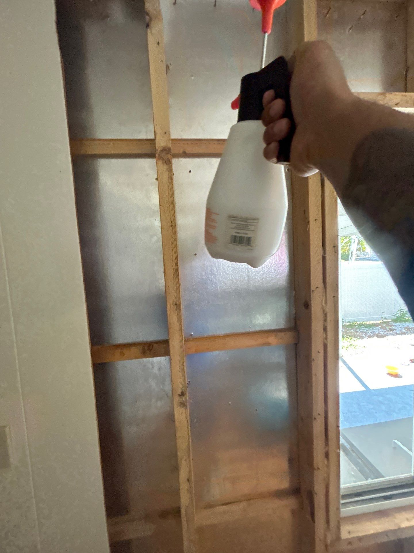 Mold Remediation Bradenton by Ampm Restoration Services 