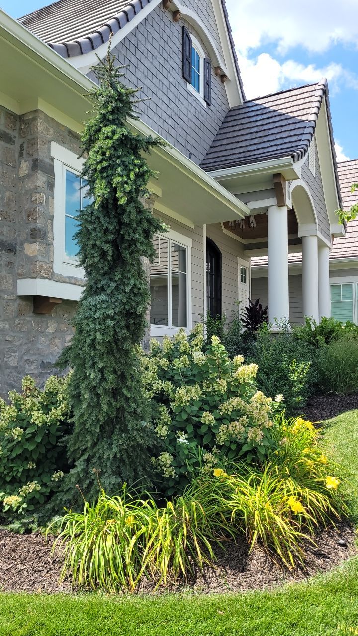 Front Yard Landscape and Walkway Renovation in Overland Park by LAND ESCAPES LLC