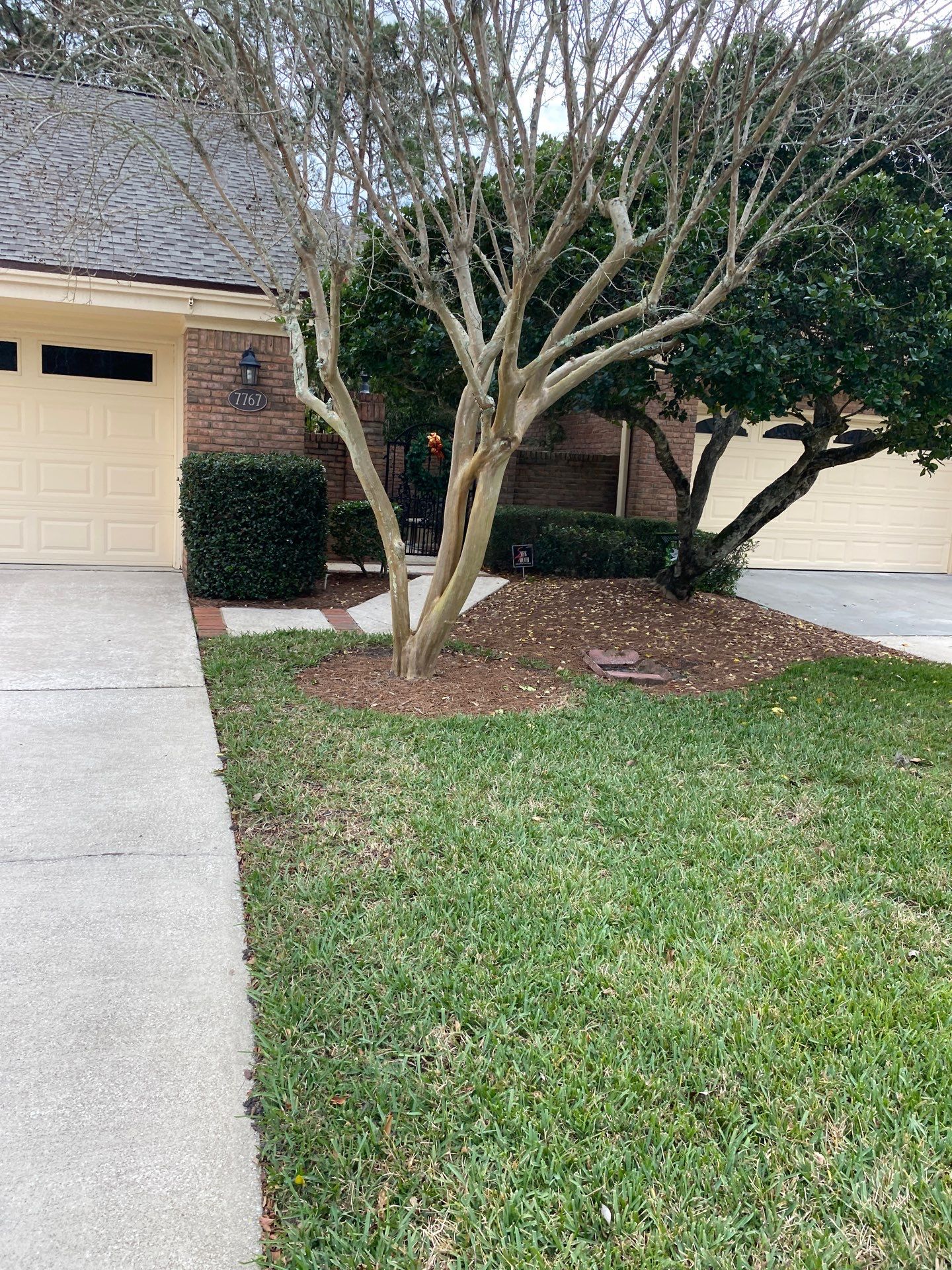 Deerwood Pointe | Tree Removal & Pine Straw Installation by ProGreen Services