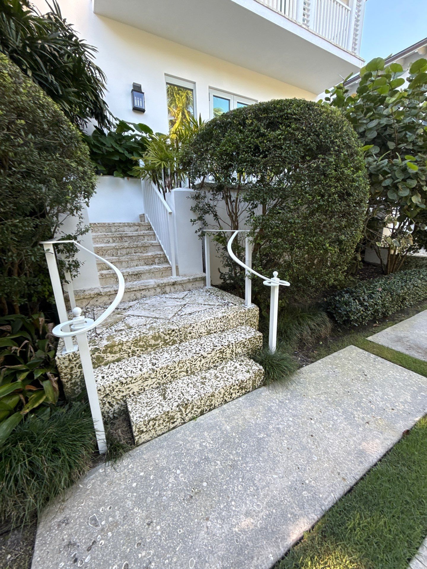 Private Residence Coral Gables by Toledo Iron Works