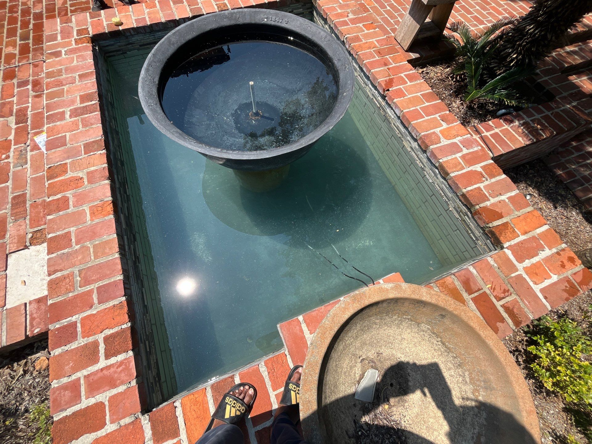 Pool Cleaning using Pool Cleaner by College Bros Outdoor services