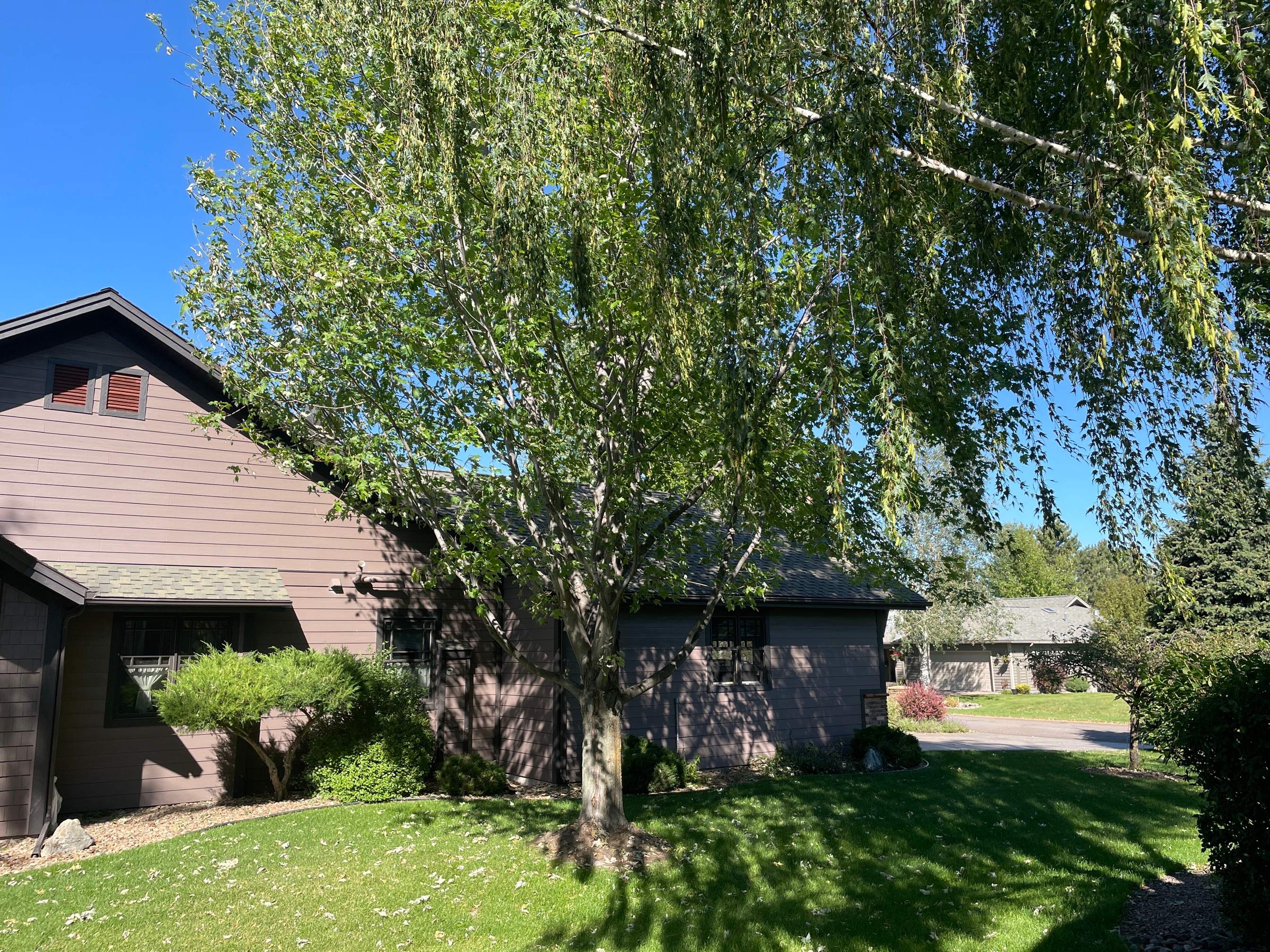 GAF Grand Sequoia - Autumn Brown Blend  by Montana Roofing Solutions