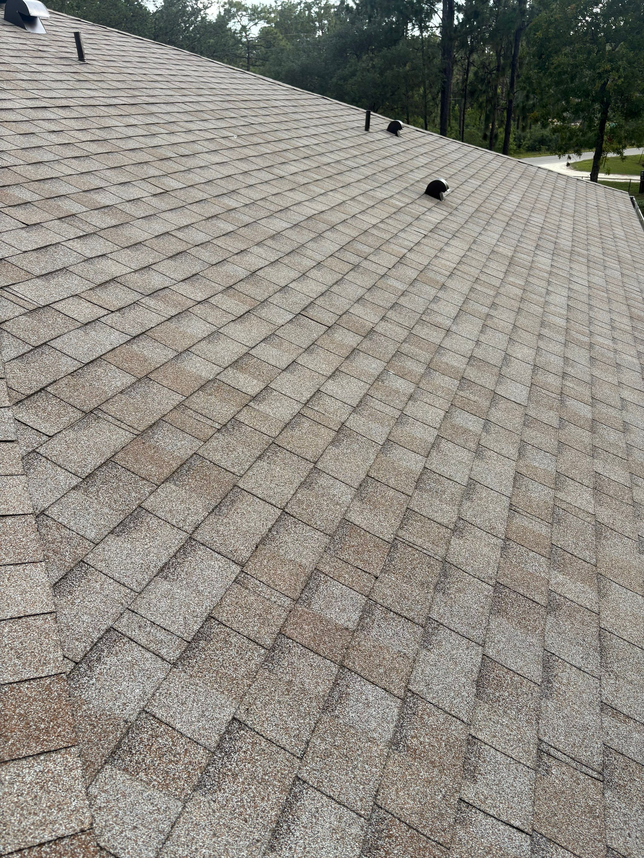 Shingle Reroof Replacement Ocala FL by Pinnacle Roofing Group