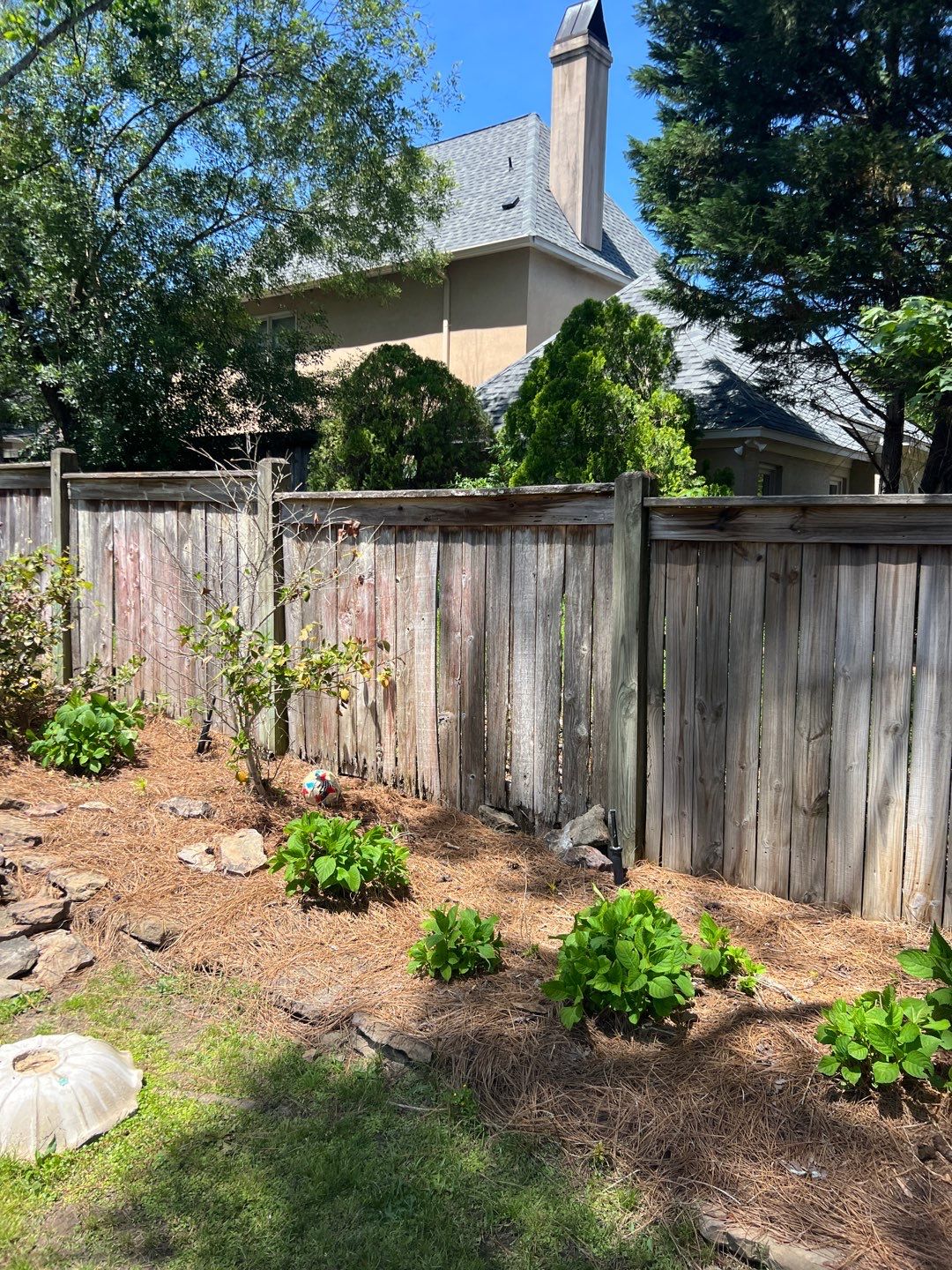 6ft & 8ft Treated Pine Good Neighbor by Roberson Construction LLC