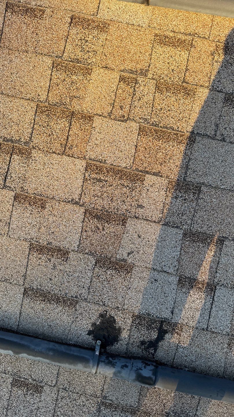 Project in Galt  by NuLead Construction Inc