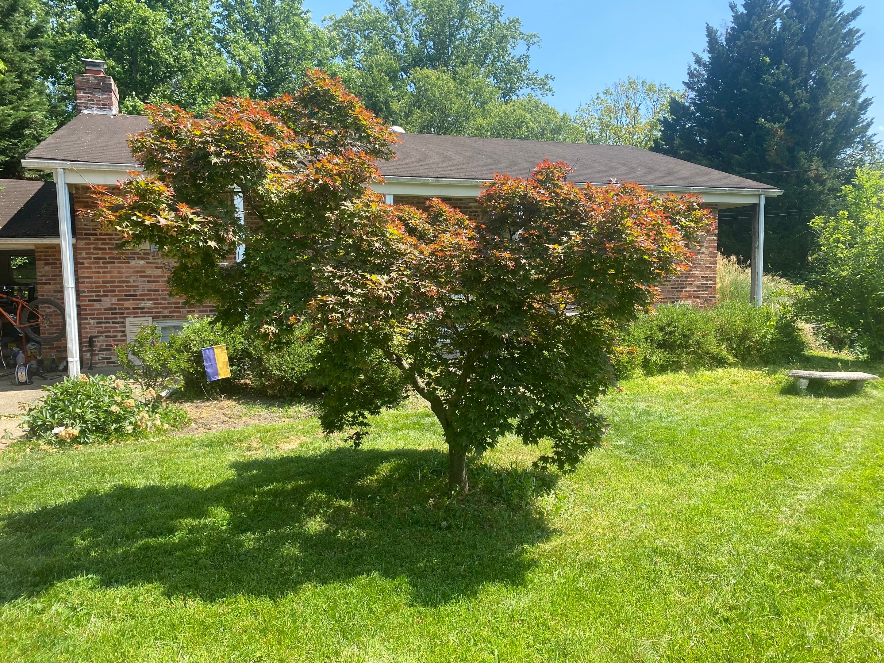 Landscape cleanup by The Smet Companies, LLC