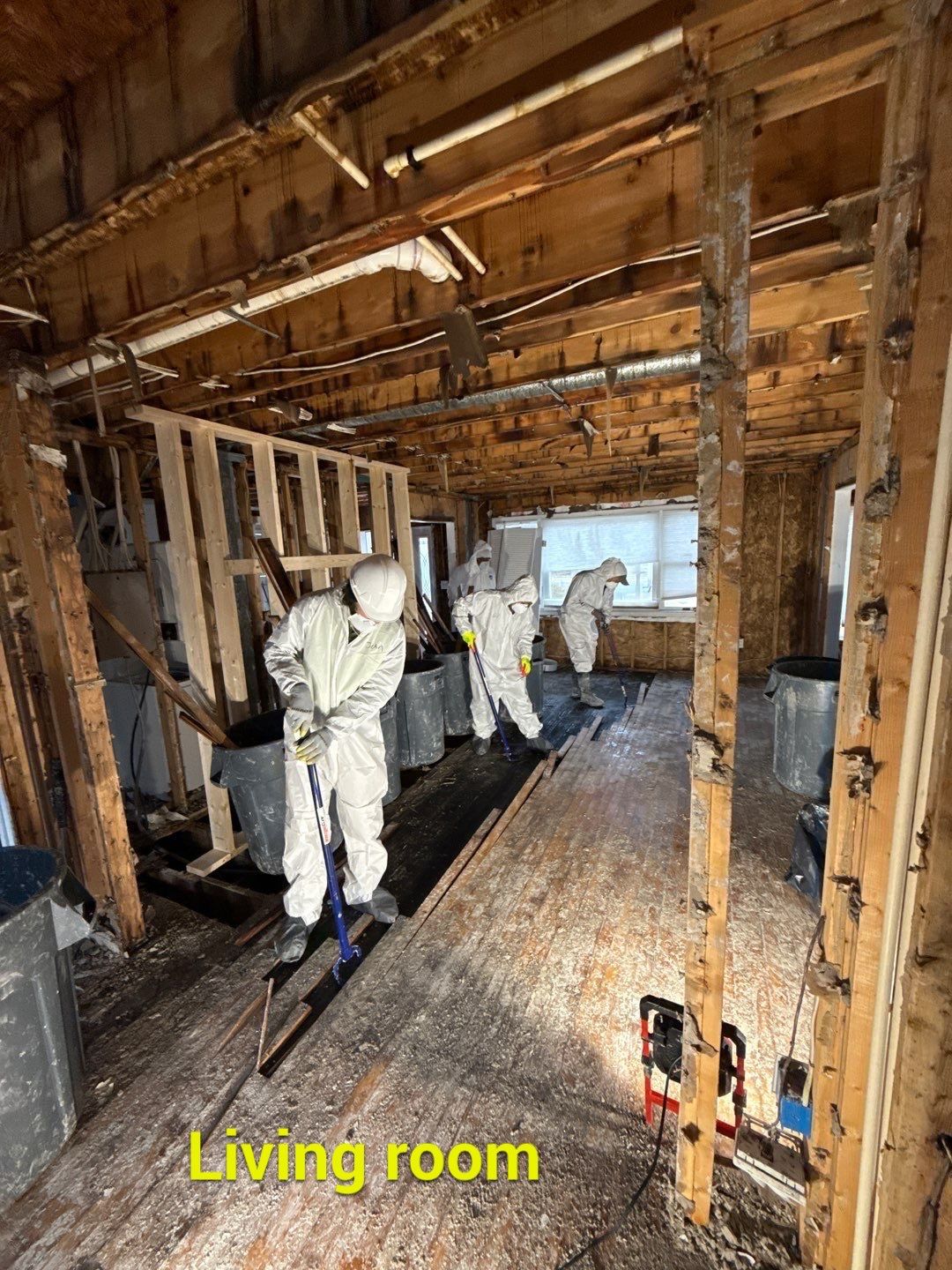 Large‑Loss Water Damage, Structural Drying & Mold Remediation – Rehoboth Beach, DE by Healthy Home Solutions