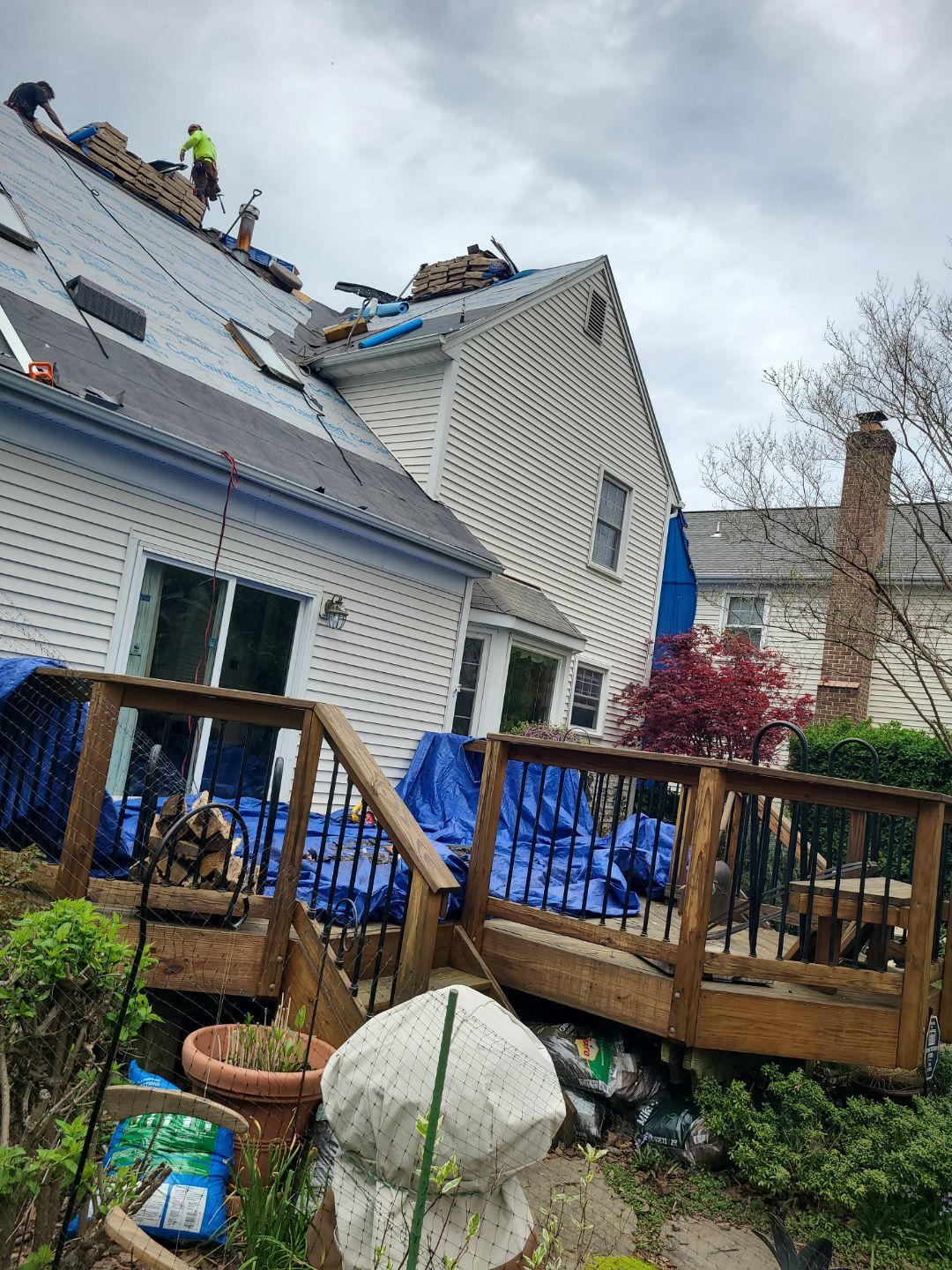 Vienna: CertainTeed Landmark Pro Designer Shingles in Max Def Moire Black by RM Banning, Inc.