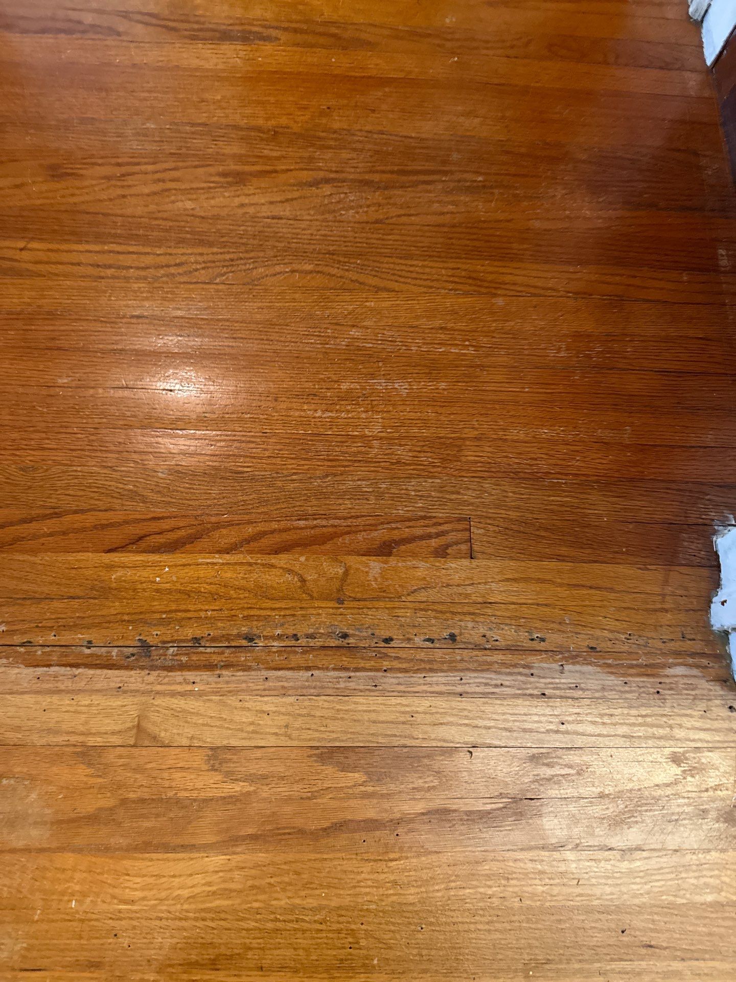 Historic Hardwood floor restoration  by Ann Arbor Hardwoods 
