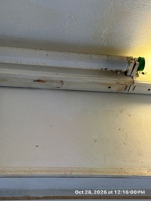 Water Damage Restoration — Naples, FL