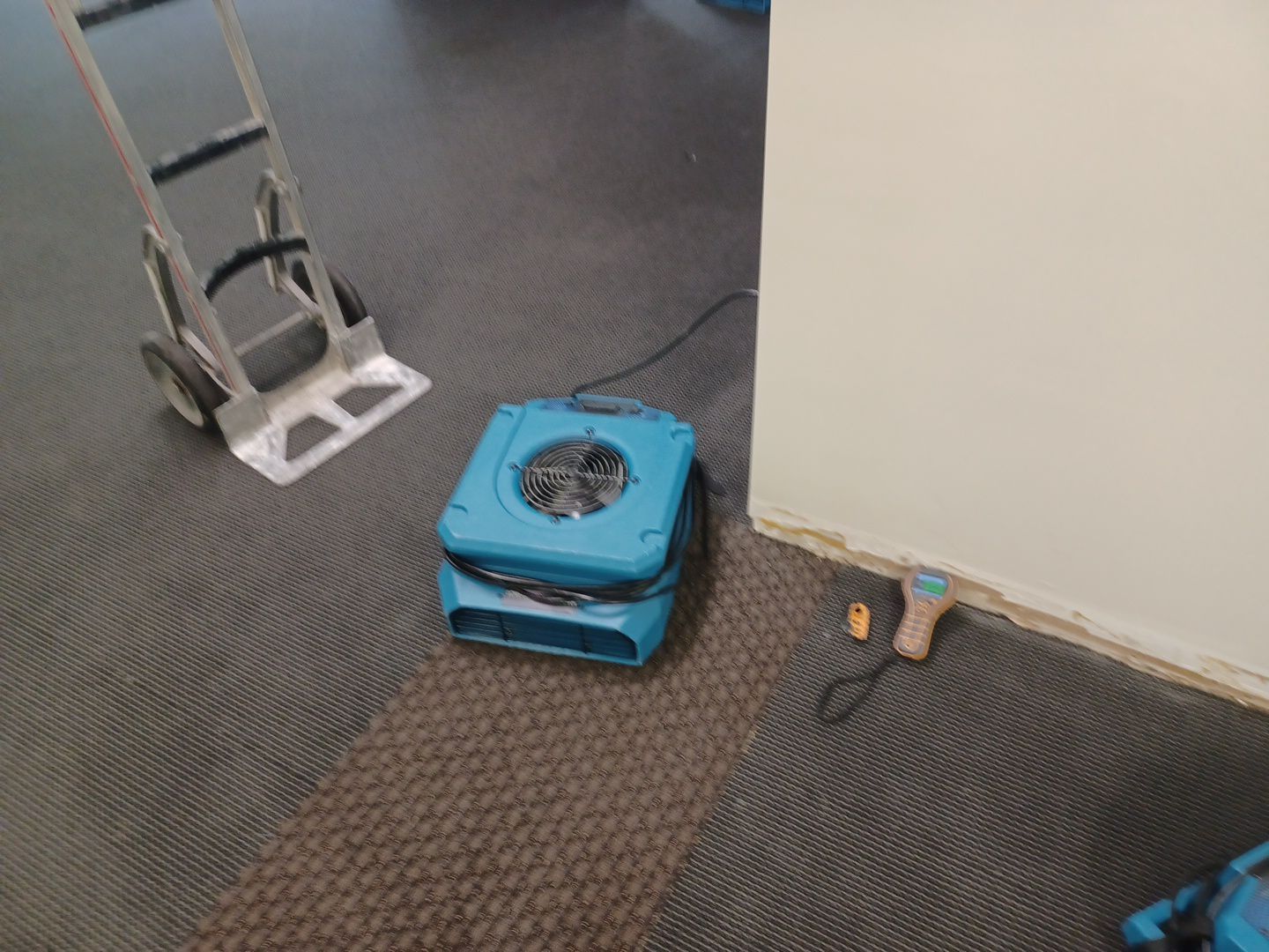 Project in Ann Arbor by EzDry Water Mitigation & Property Restoration