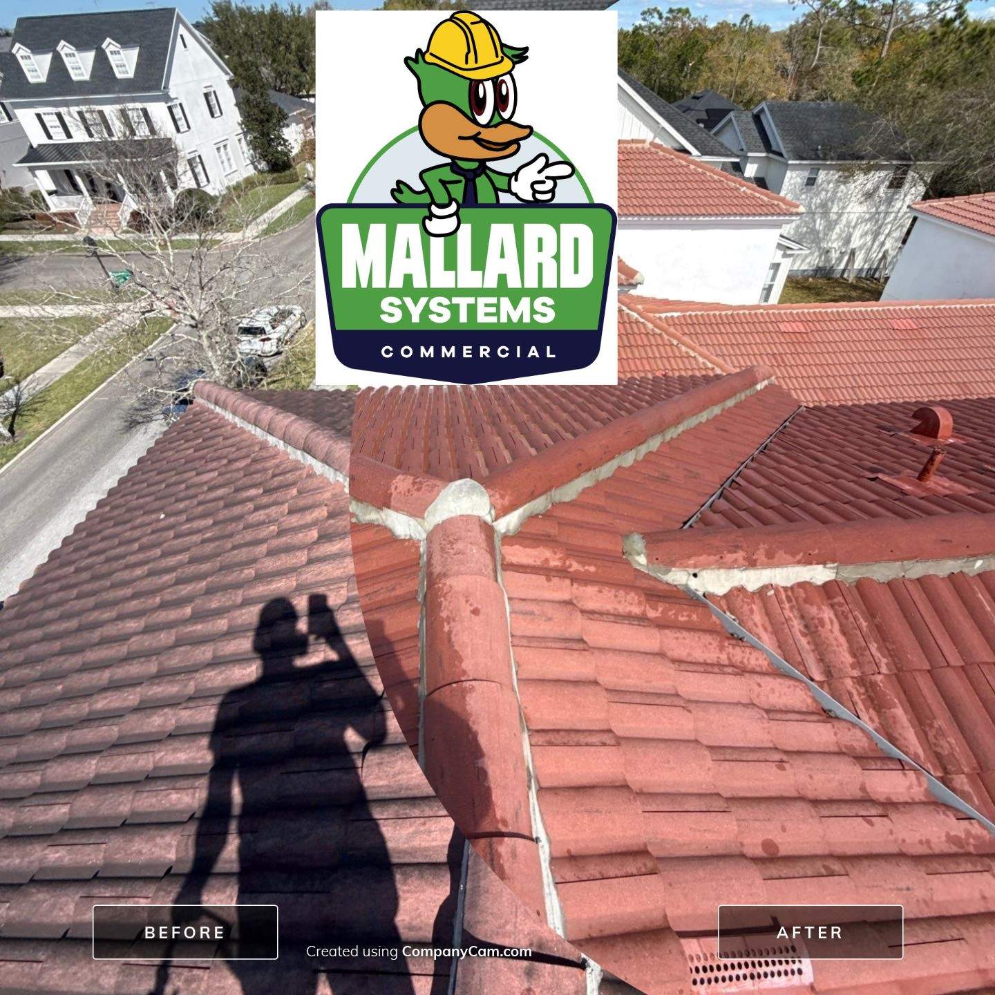 Tile Roof Cleaning by Mallard Systems