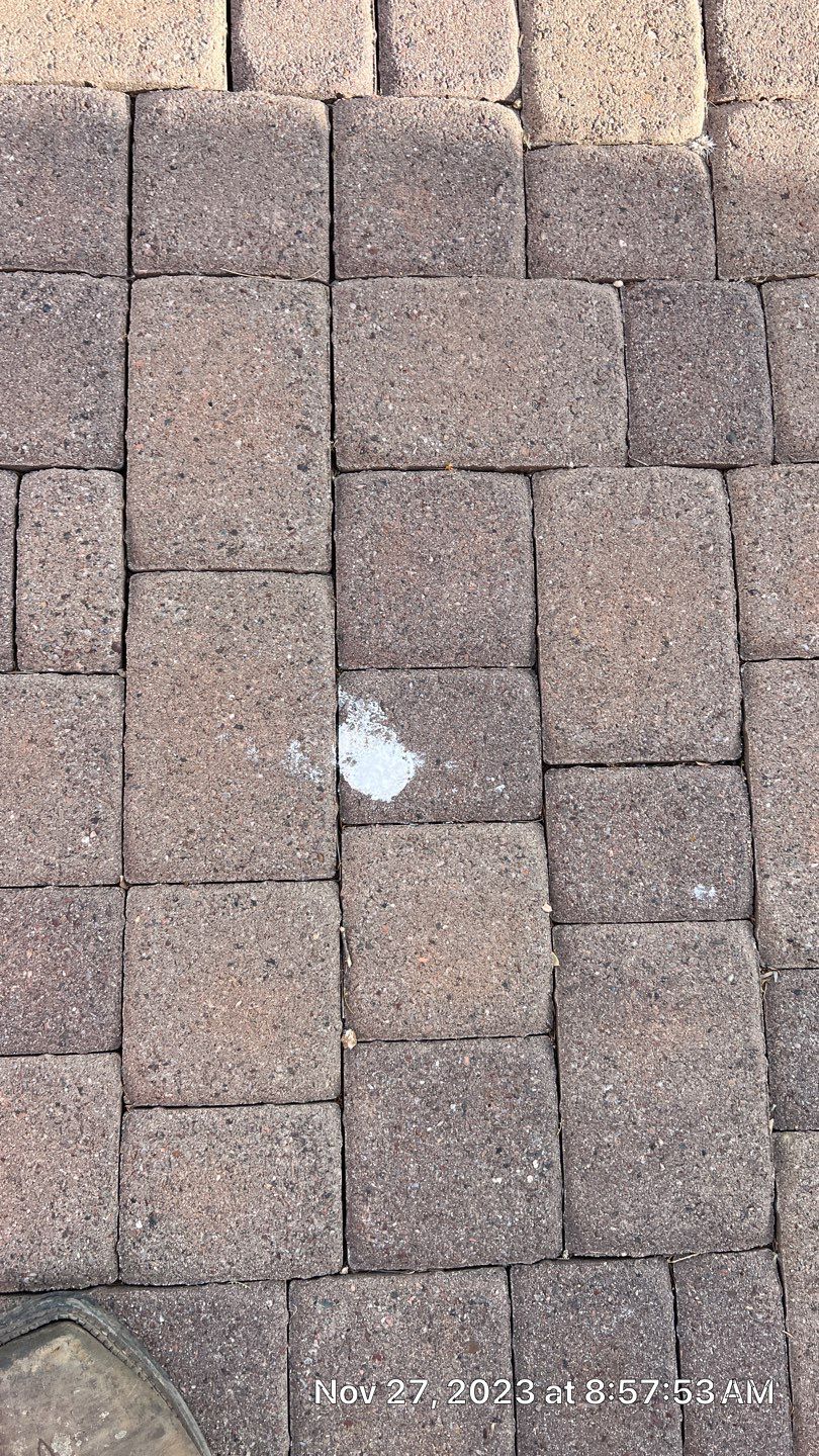 Exterior Painting - Carefree by Crash of Rhinos Painting & Garage Floors