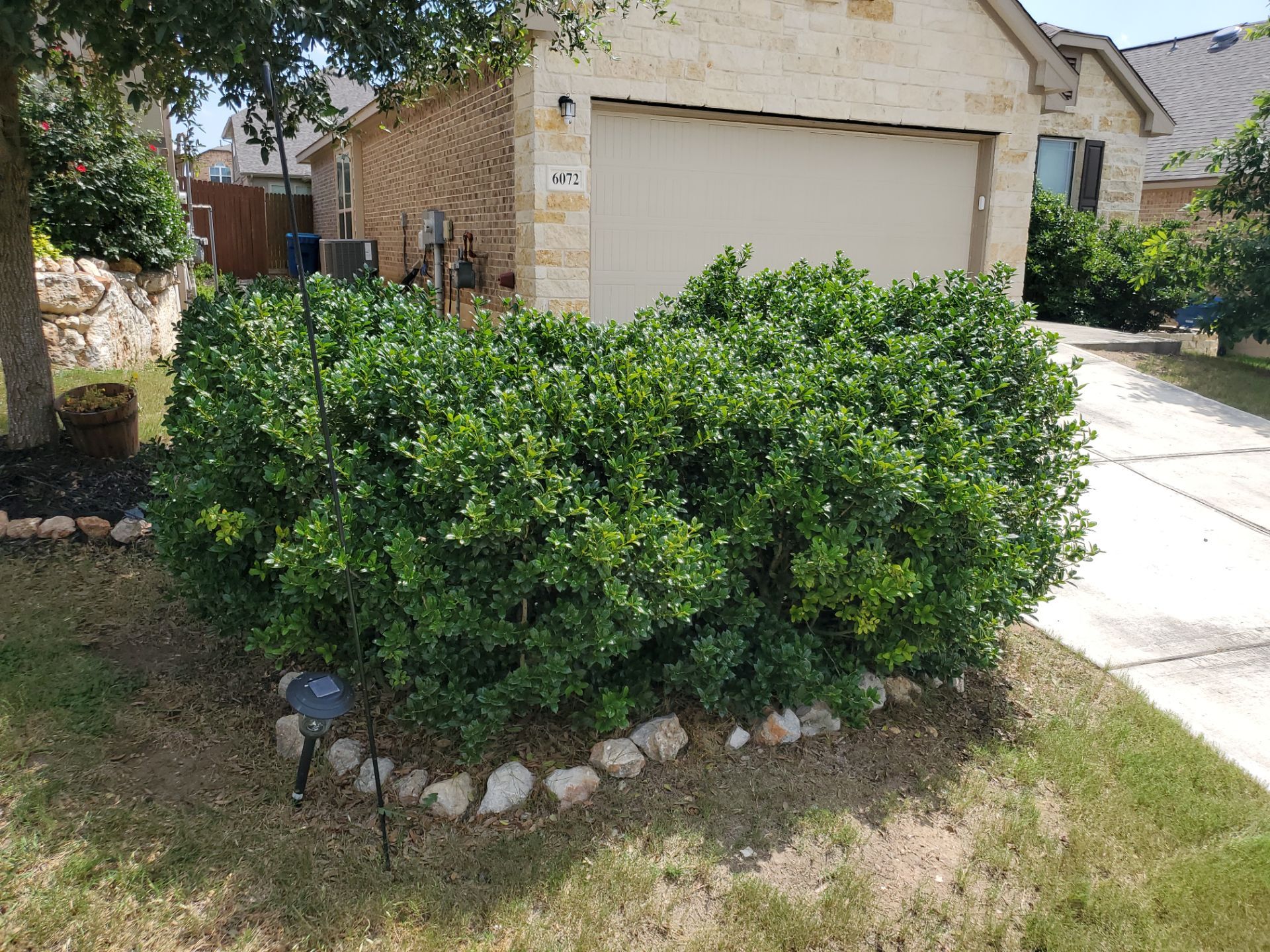 Wortham Oaks - San Antonio, TX by Hole In One Lawns, LLC